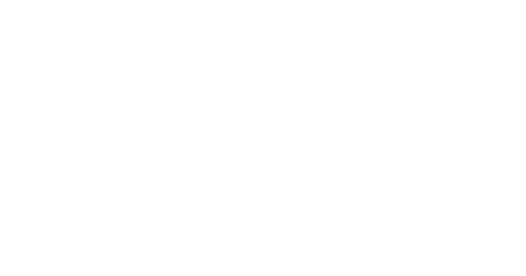 Falcon Paper and Trading Inc.