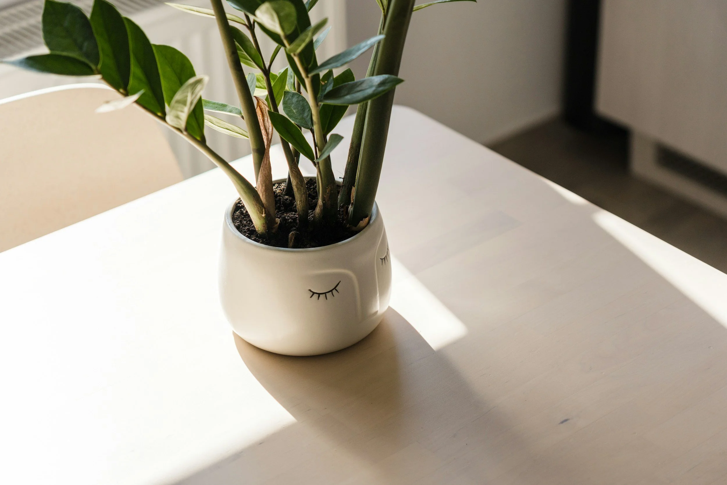 calm plant therapy anxiety ocd emdr trauma