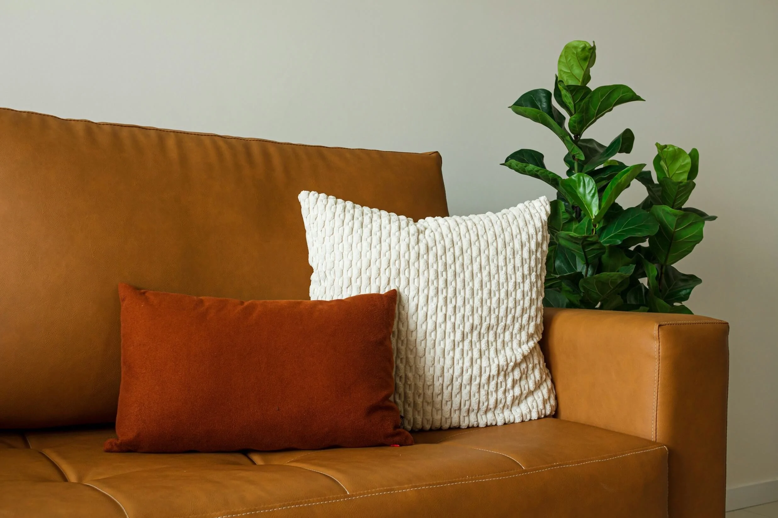 boundaries assertiveness training therapist couch
