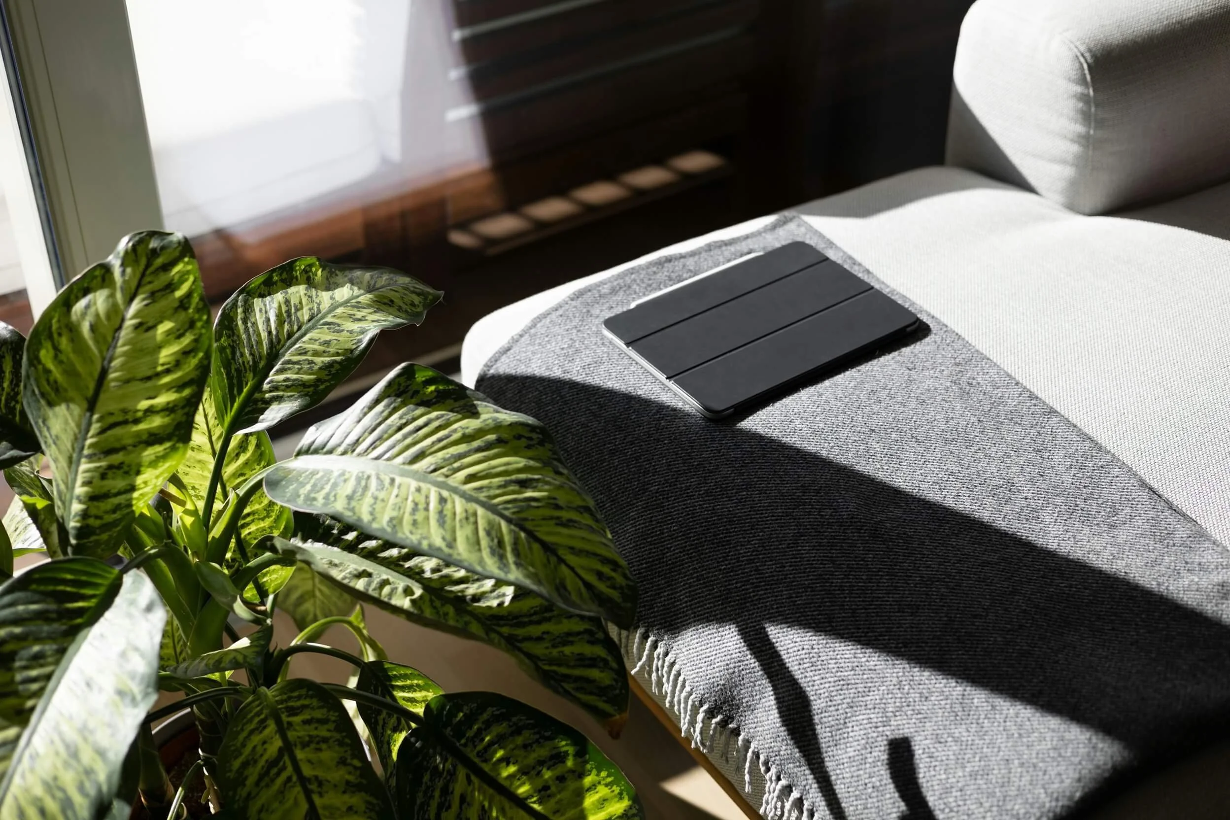 therapy office sofa with a device and a plant