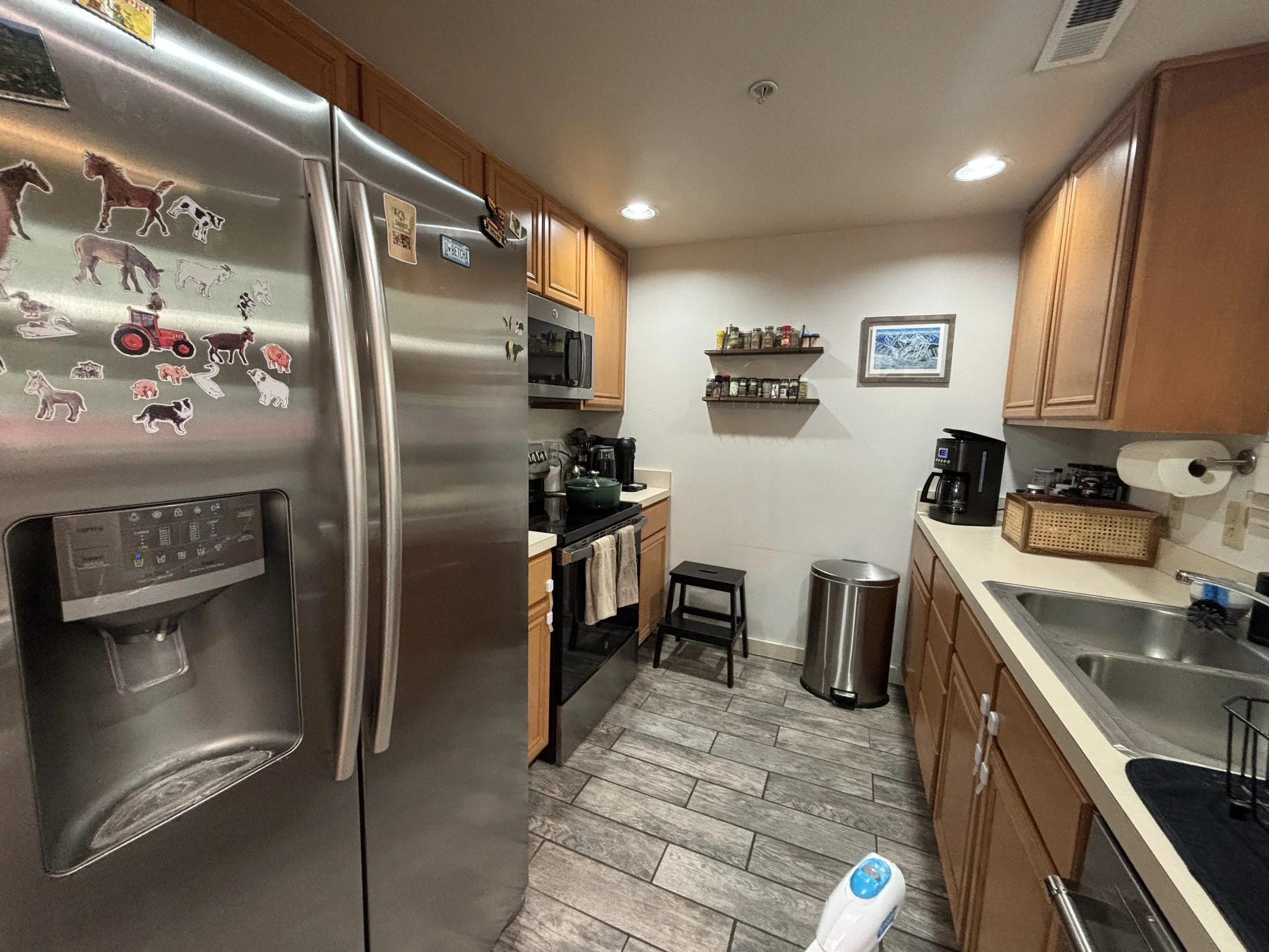 A kitchen with wooden cabinets, a stainless steel refrigerator decorated with dog stickers, a countertop with small appliances including a coffee maker, spices on a wall shelf, and a framed picture on the wall.