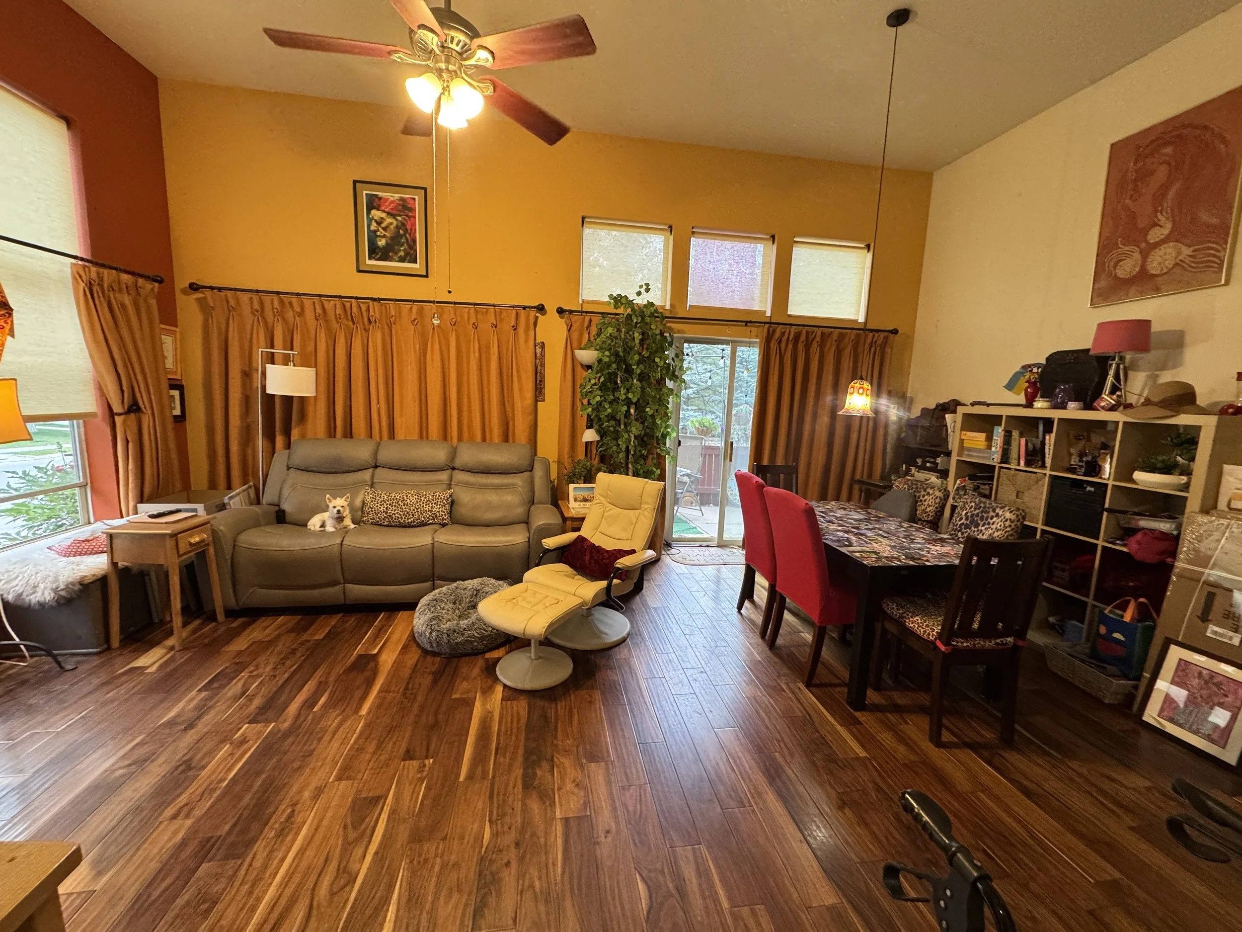 Living room with yellow walls, large windows, and wooden flooring. Furniture includes a gray sofa, a yellow chair, and a dining table with red chairs. There are framed pictures on the walls, a ceiling fan, and a bookshelf with various items. A puppy 