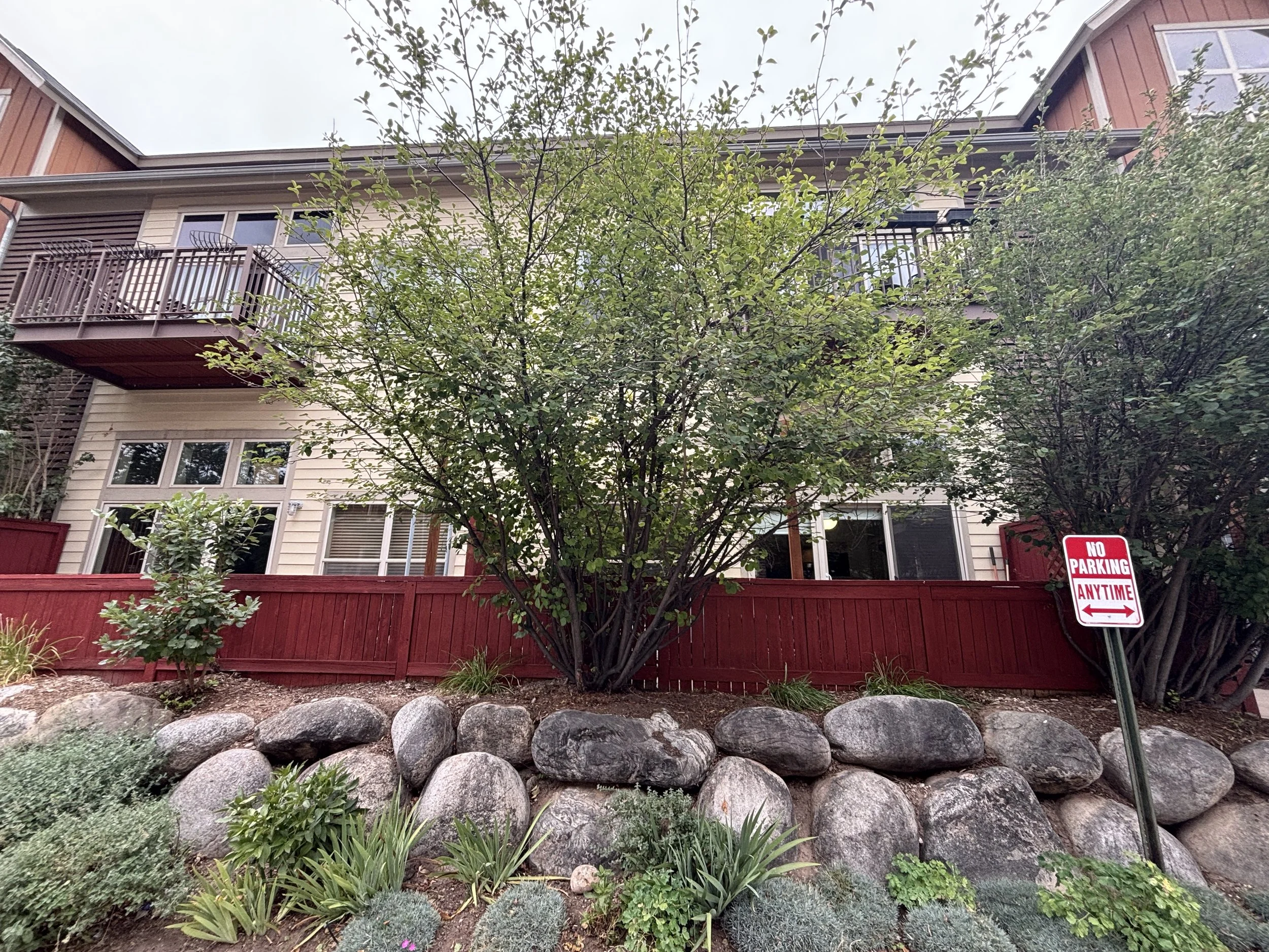 The image shows the back of a residential building with beige siding, several windows, and balconies with railings. In front, there's a landscaped garden with rocks, a variety of green plants, bushes, and a small tree. A red wooden fence encloses the