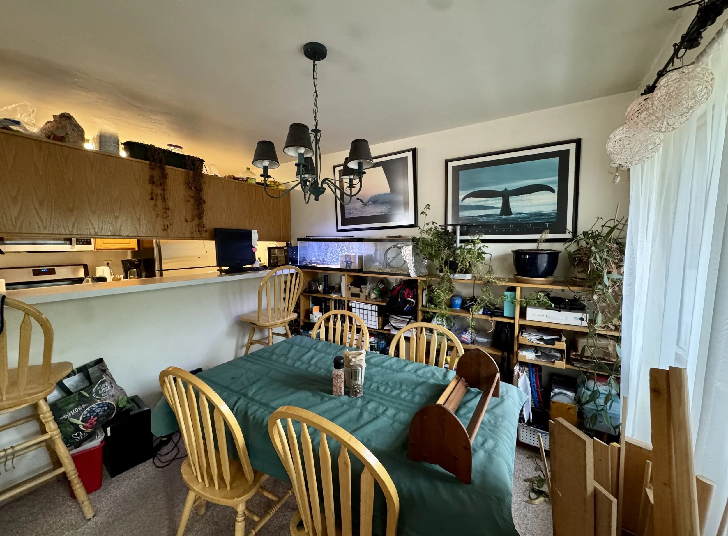 03 Dining Room 01.jpg