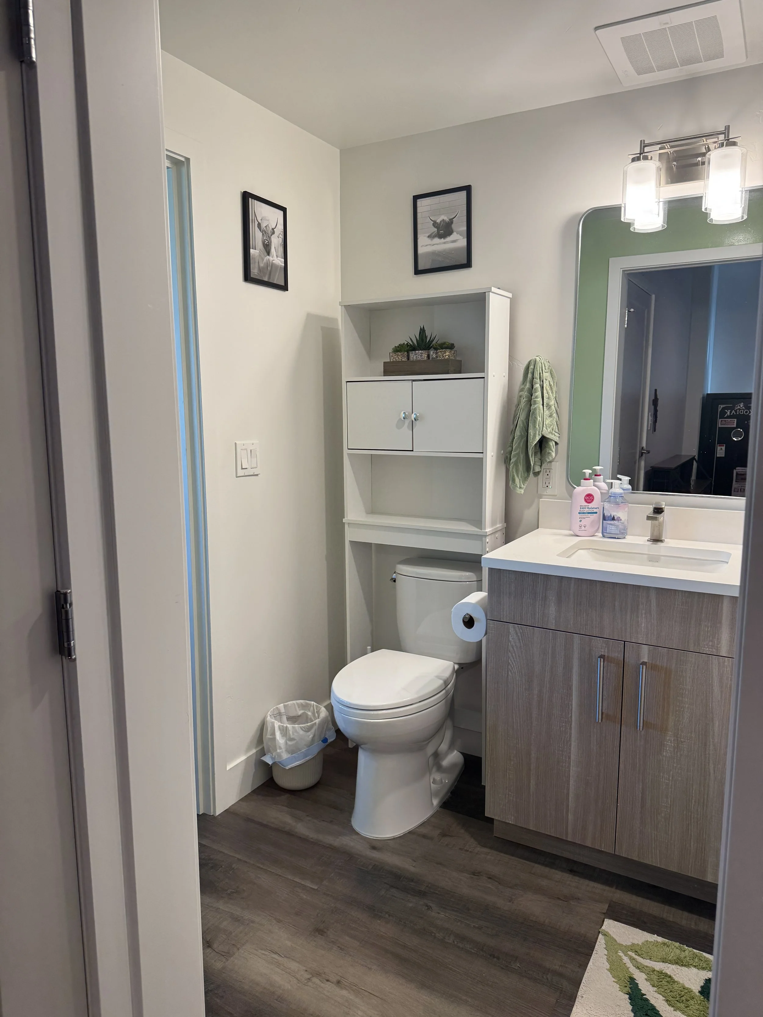06 Bathroom 03.jpeg