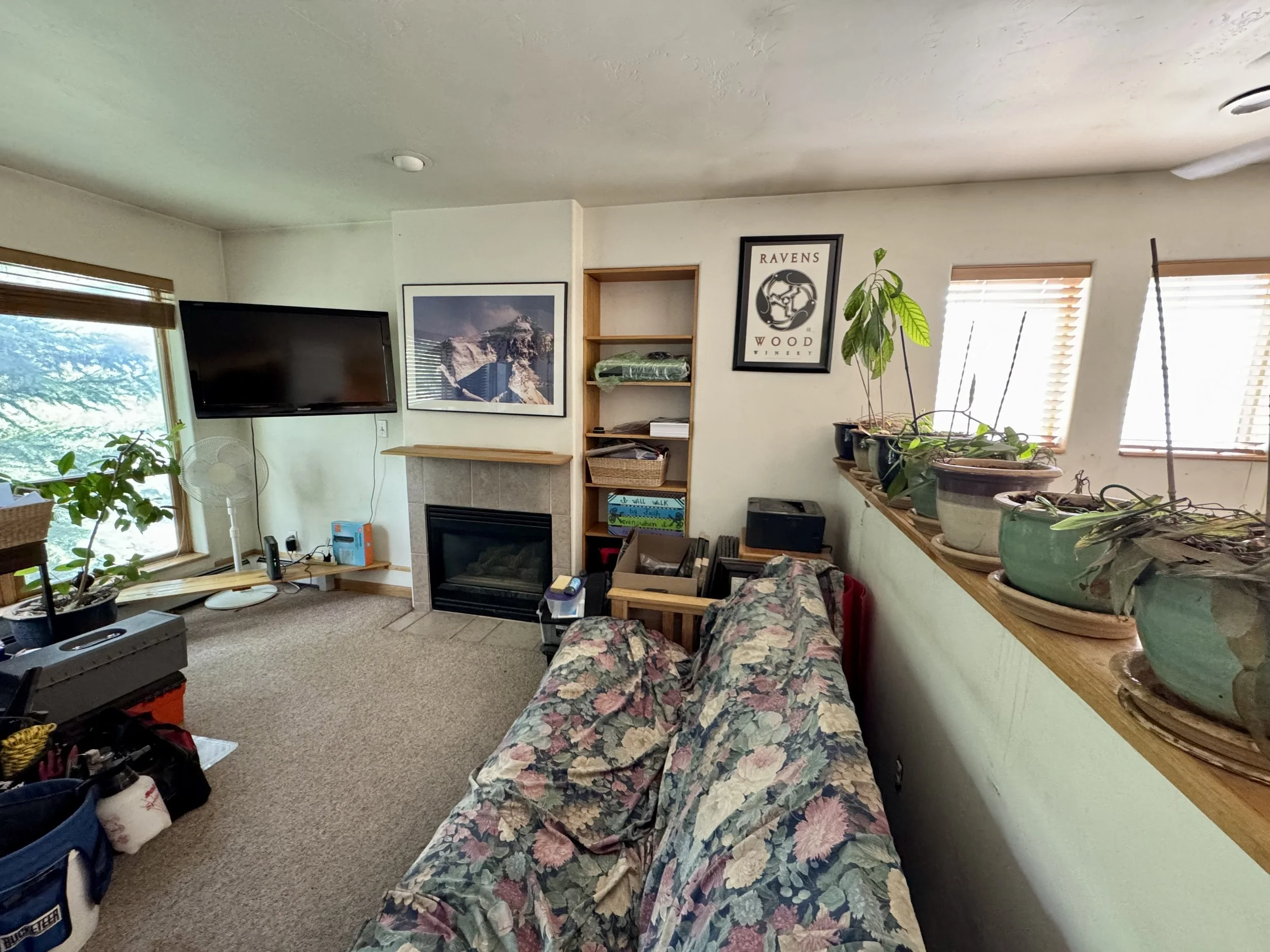 02 Living Room 01.jpg