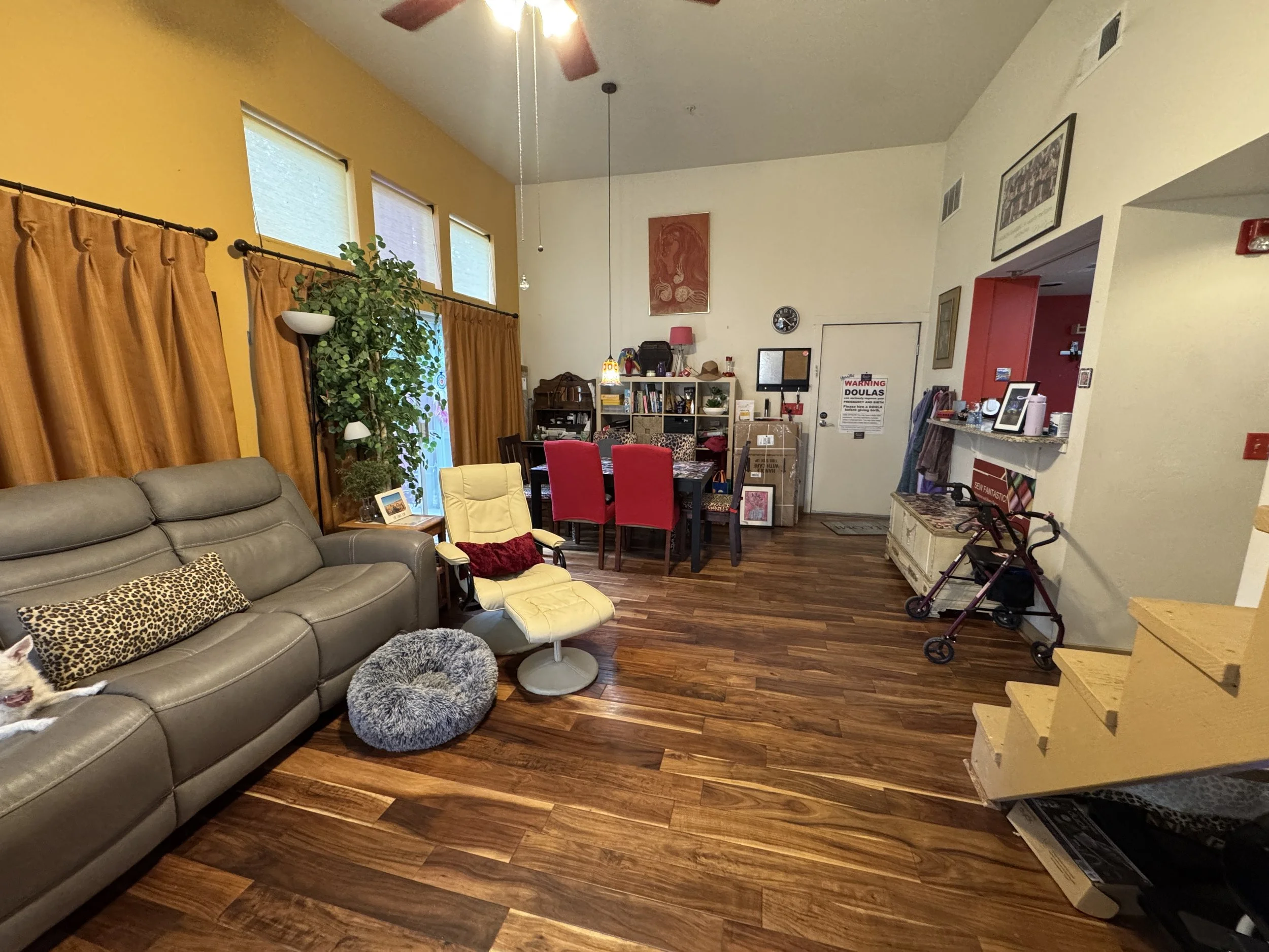Living room with yellow and white walls, hardwood floors, a gray reclining sofa with animal print and furry pillows, a yellow accent chair, a tall potted plant, curtains covering windows, a ceiling fan, a dining table with red chairs, and various wal