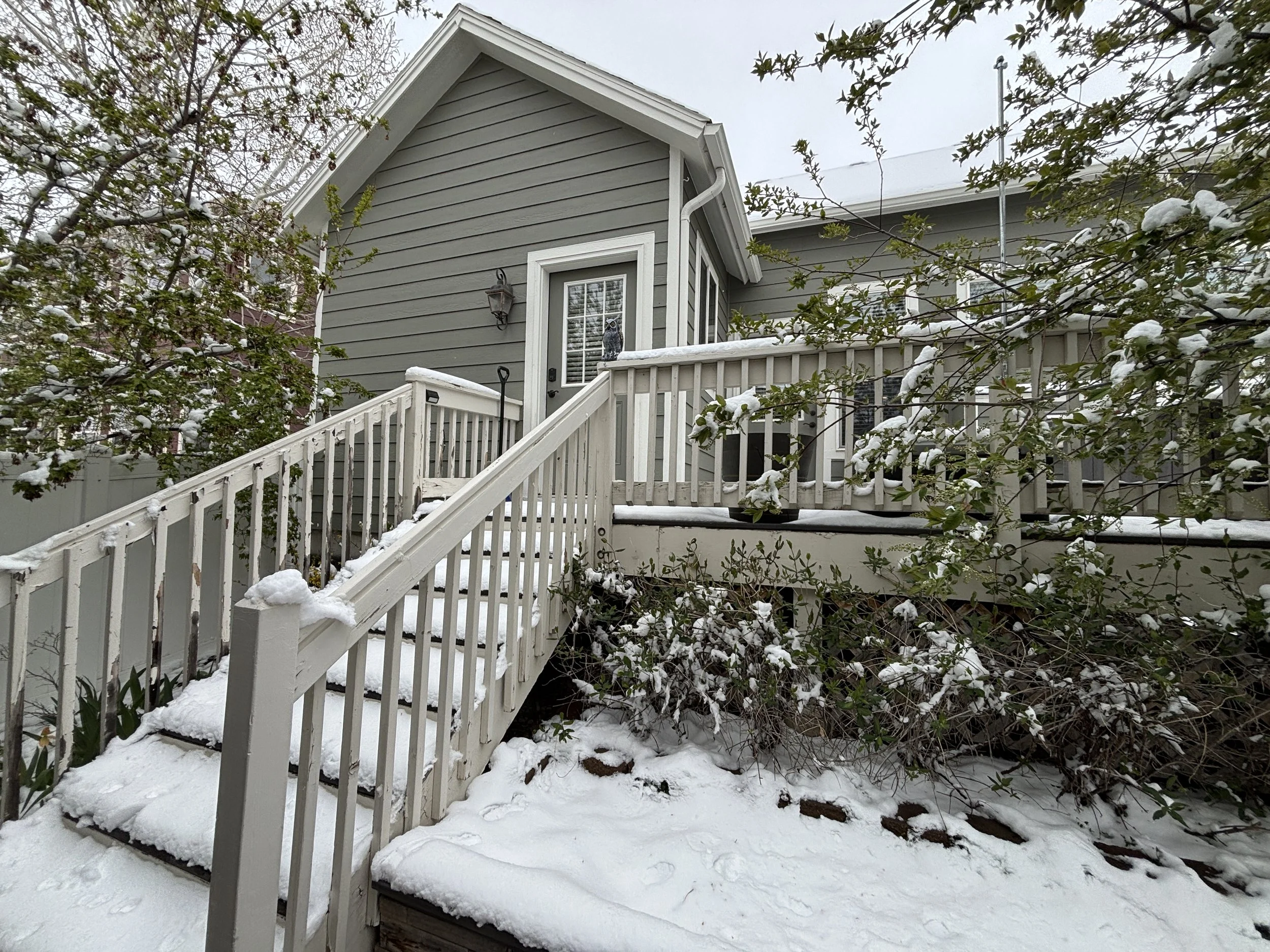 13 Back Deck 02.JPG