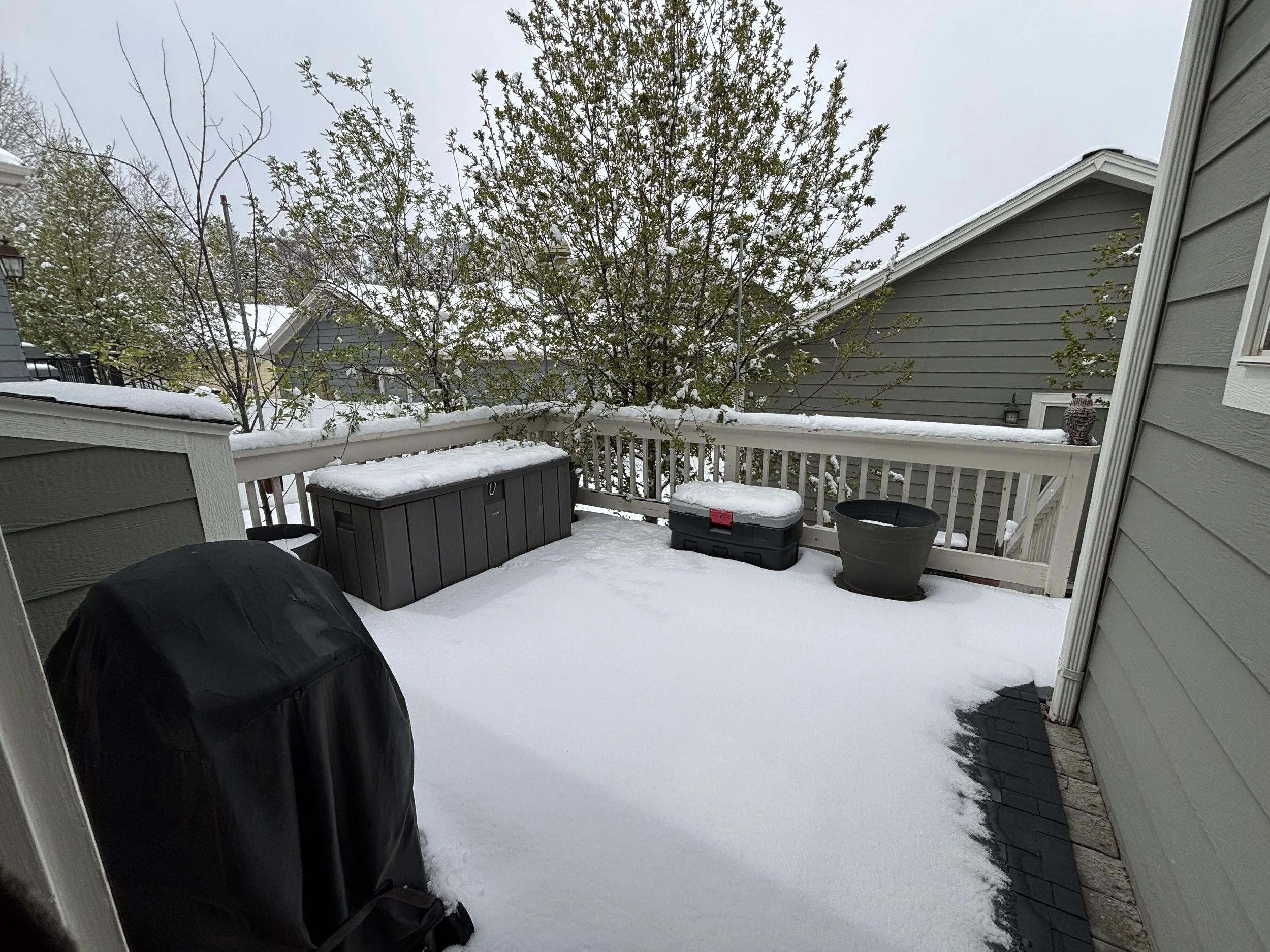 13 Back Deck 01.JPG