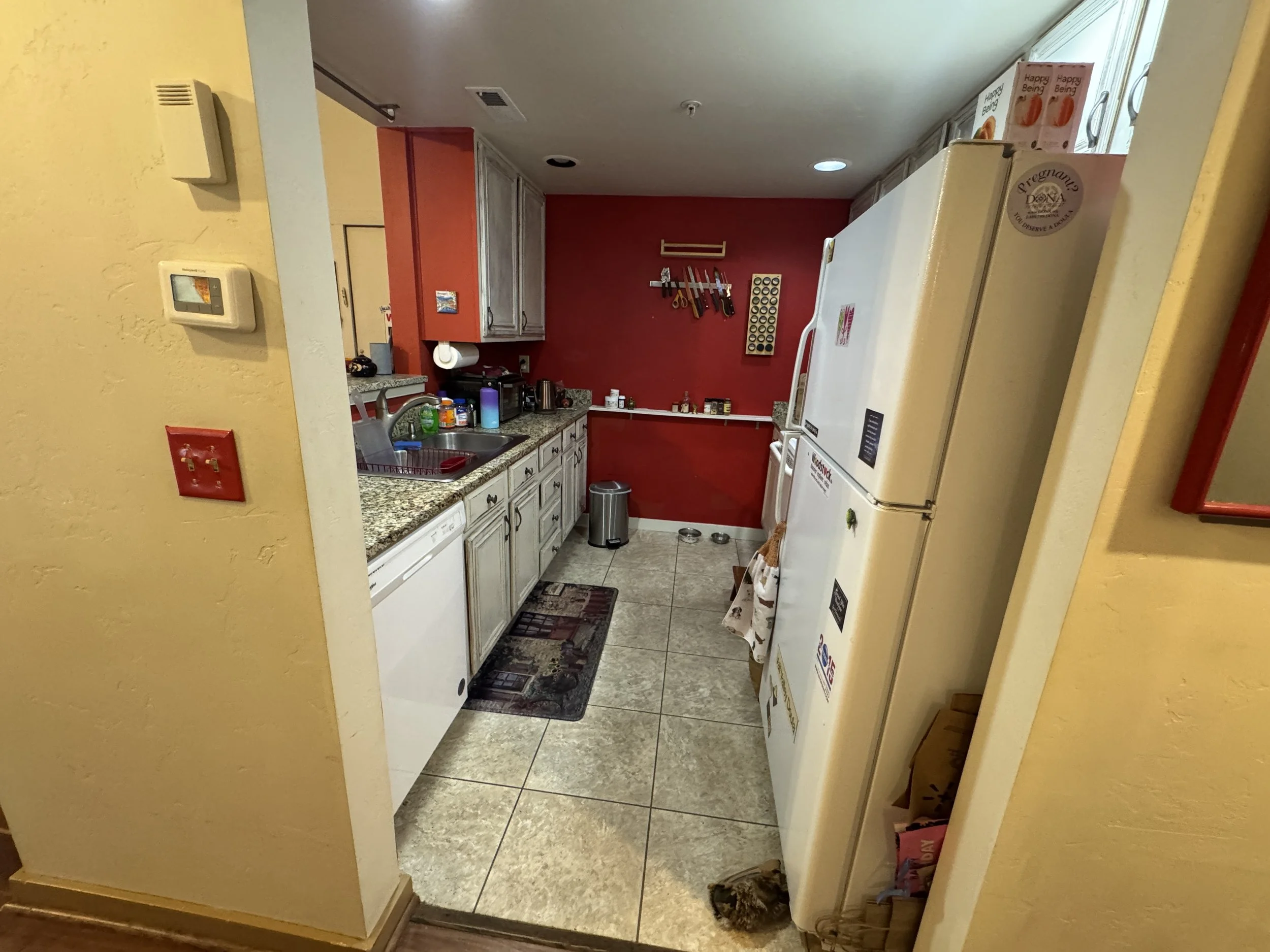 View of a kitchen with red walls, white cabinets, and granite countertops. Items on the counter include cleaning supplies, a coffee maker, and kitchen utensils. There is a white refrigerator, a small dish mat on the floor, and a small tabby cat near 