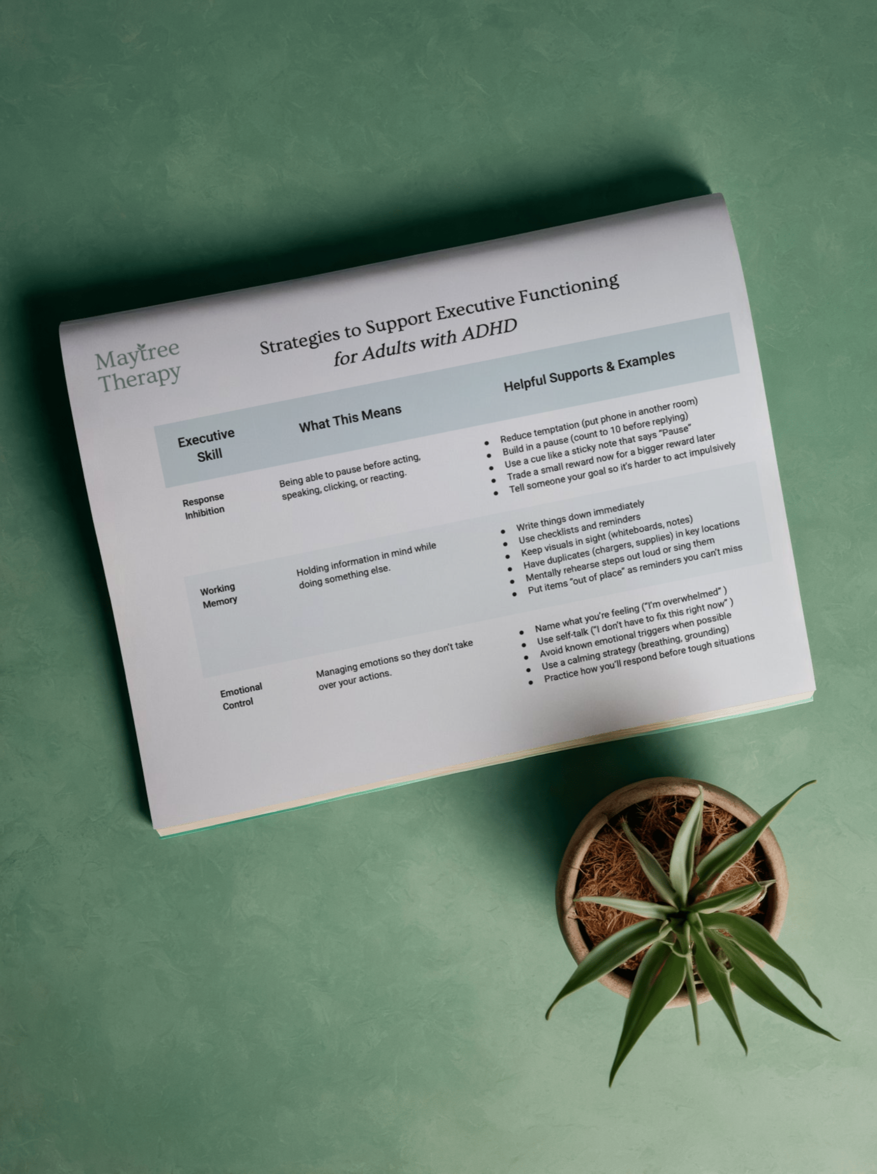 A printed guide titled 'Strategies to Support Executive Functioning for Adults with ADHD' from Maytree Therapy, laying on a green surface, with a small potted plant next to it.