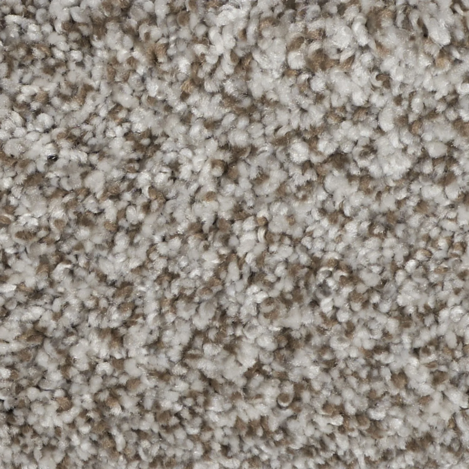 Elegant Graceful carpet color detail