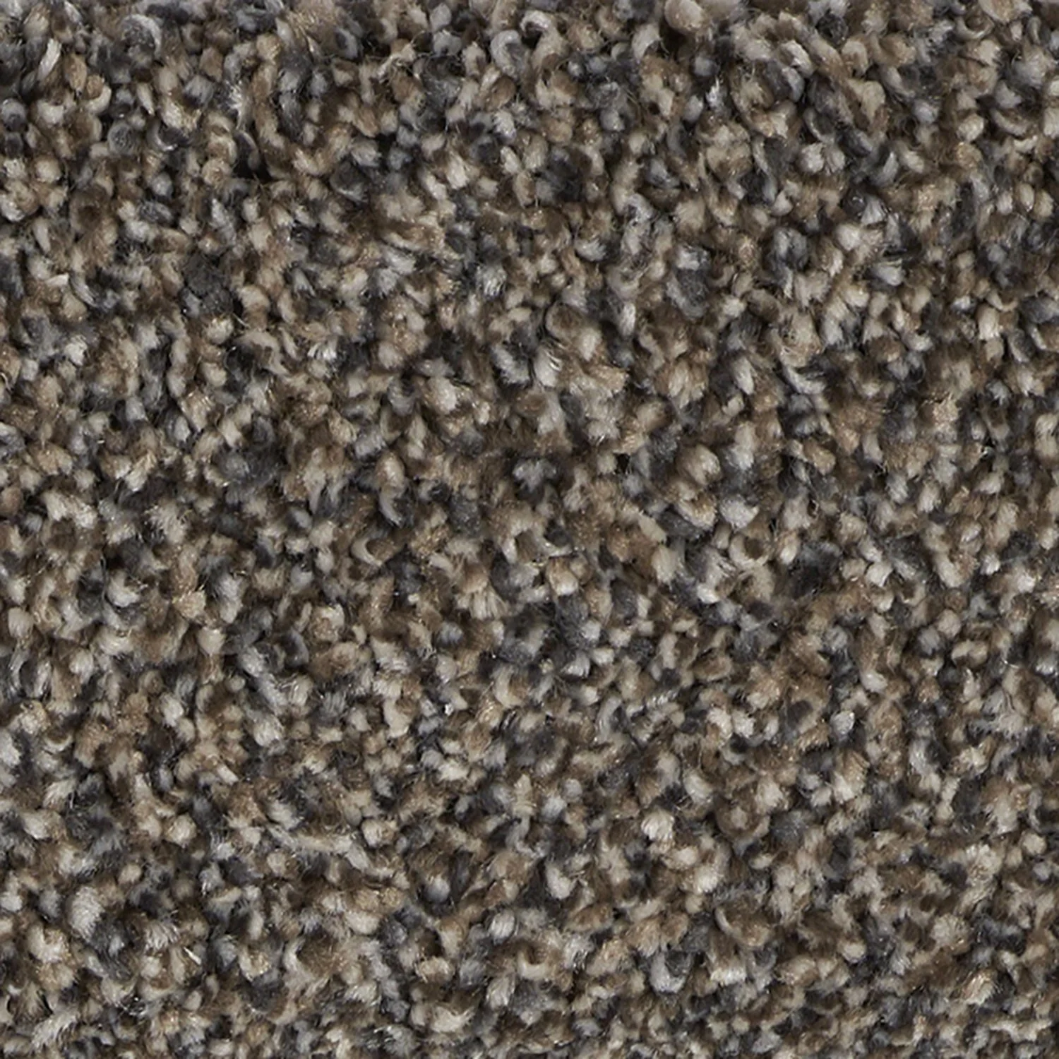 Elegant Majesty carpet color detail