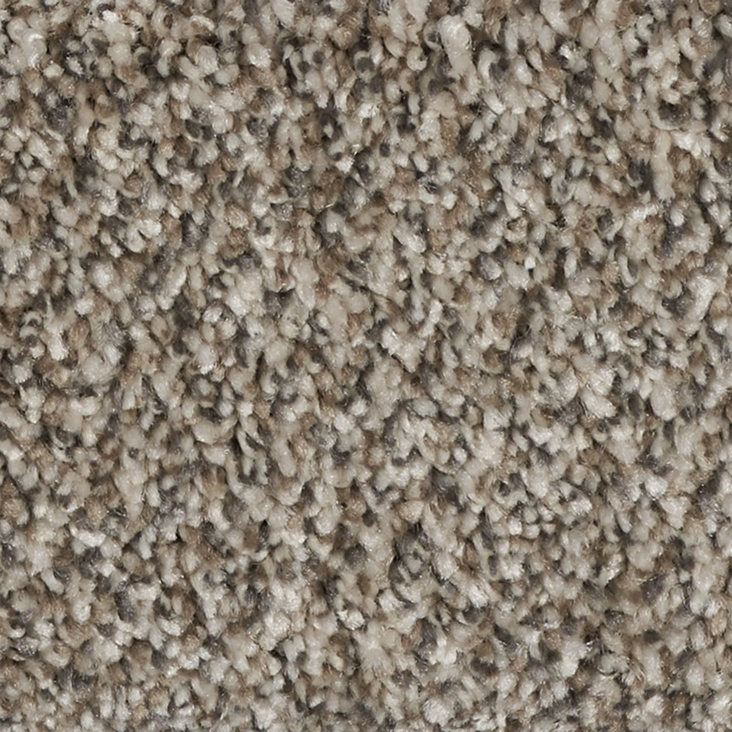 Elegant Polish carpet color detail