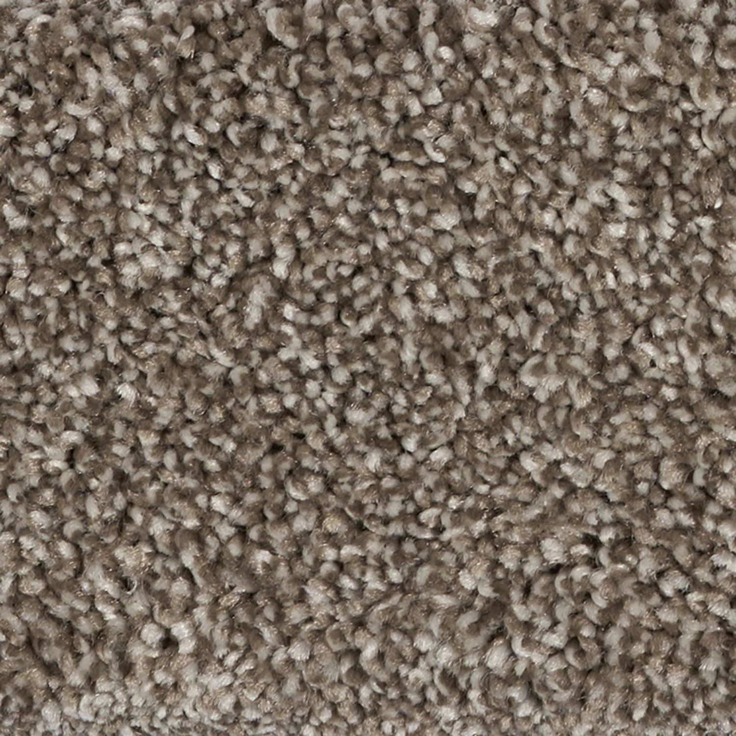 Elegant Lavish carpet color detail