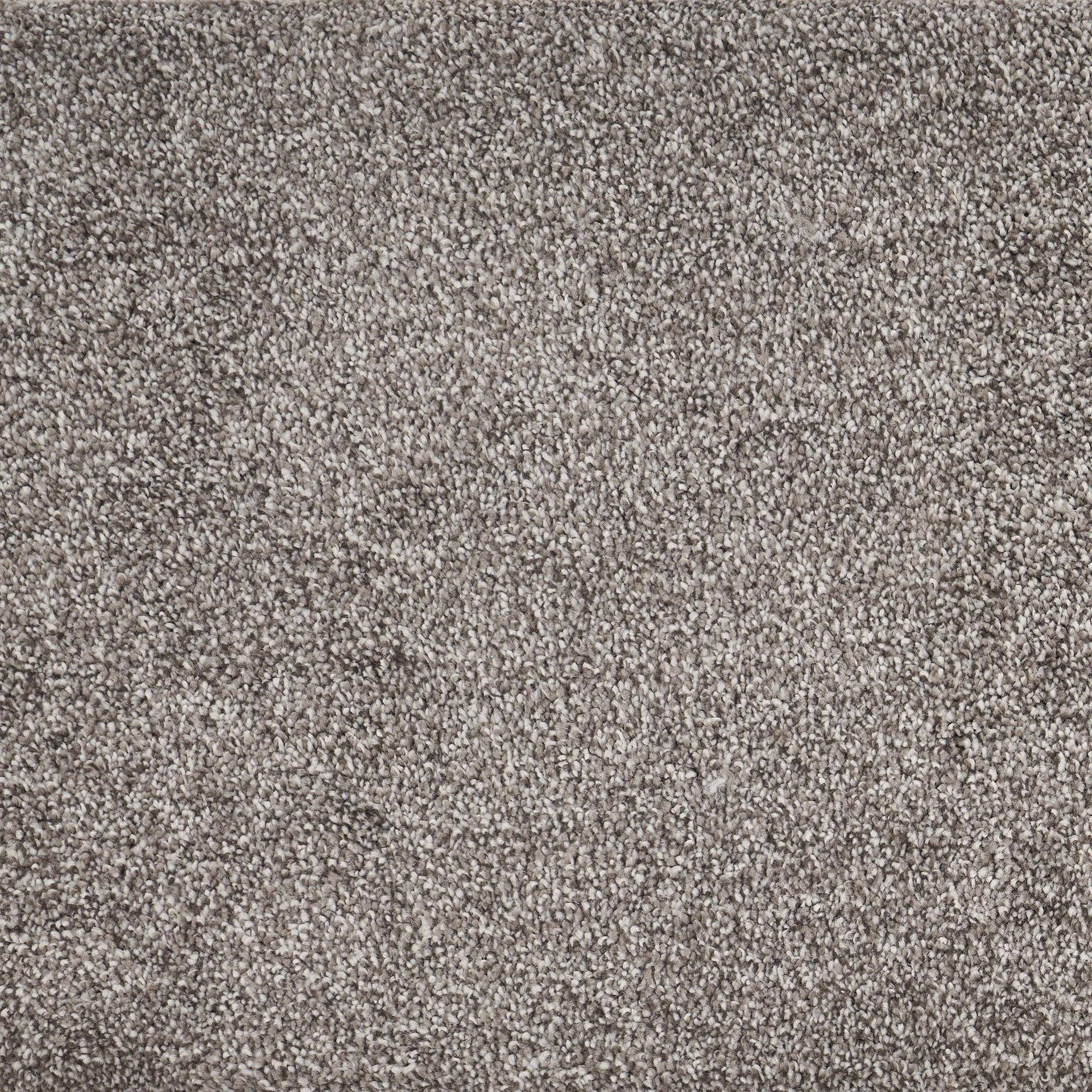 Paramount Texture Paramount — Stoney Peak — Zain Floors