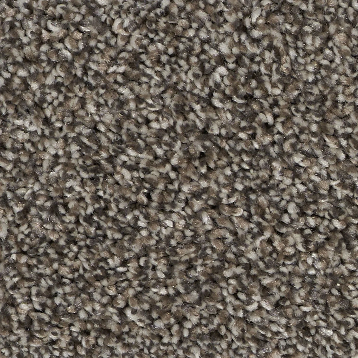 Elegant Stately carpet color detail