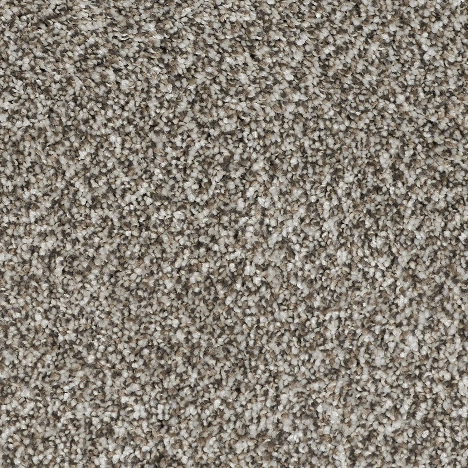 Elegant Posh carpet color detail