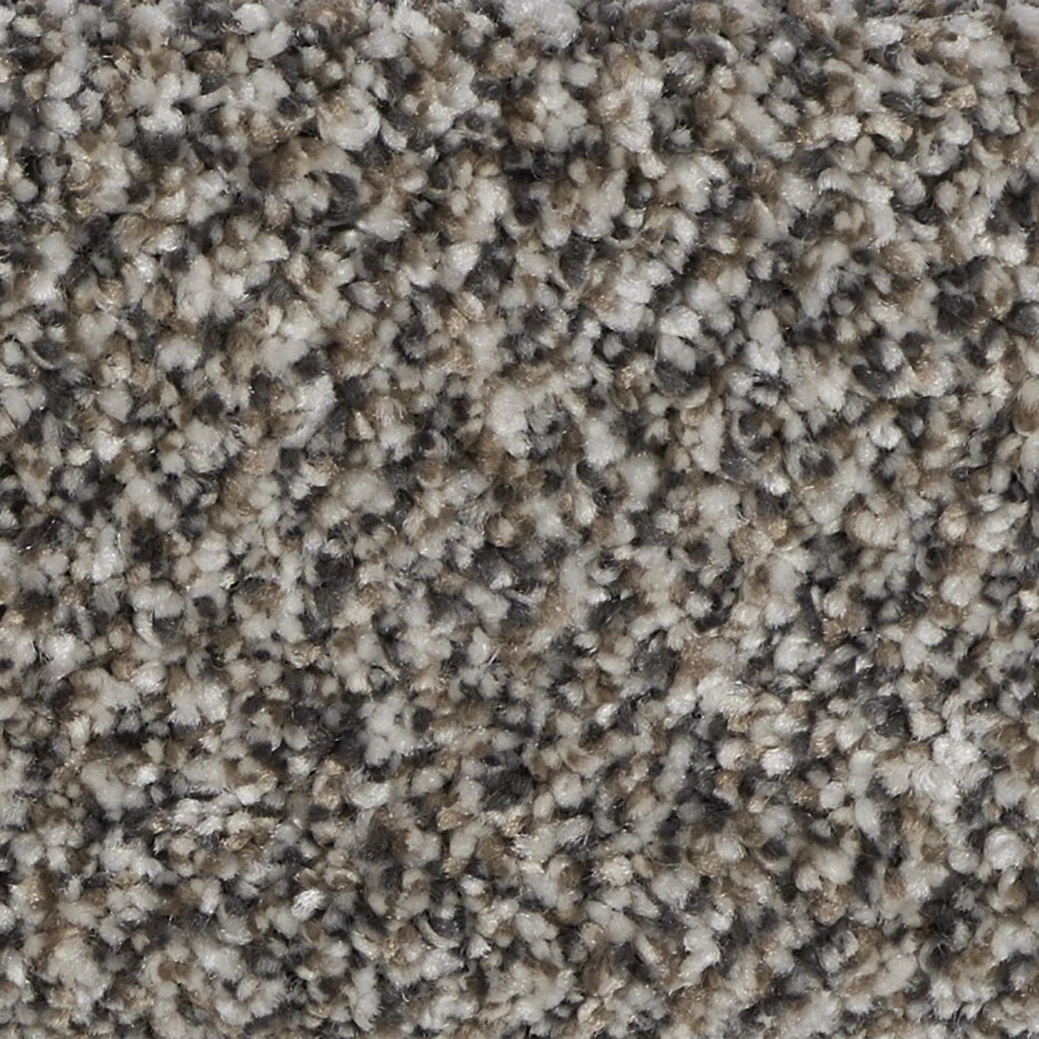 Elegant Charm carpet color detail