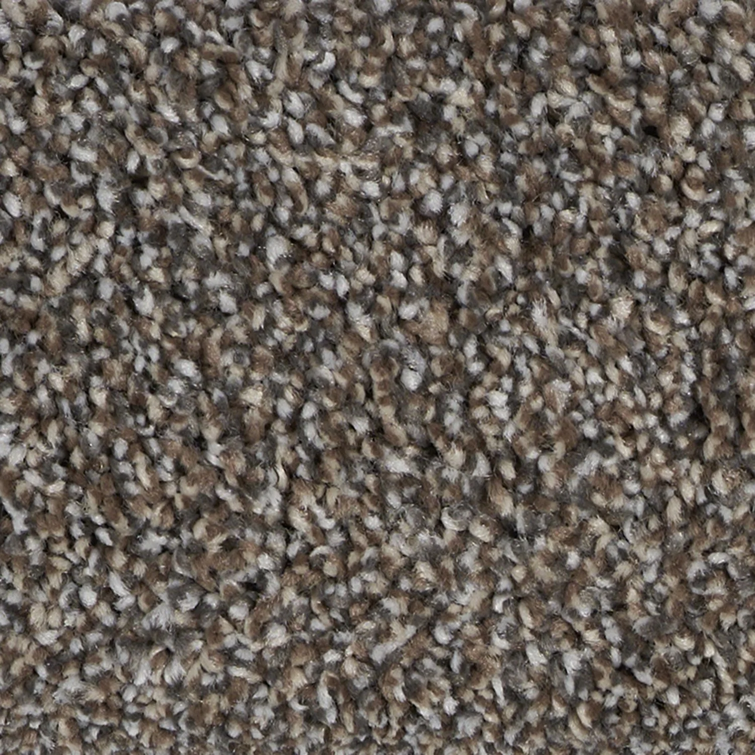 Elegant Classy carpet color detail