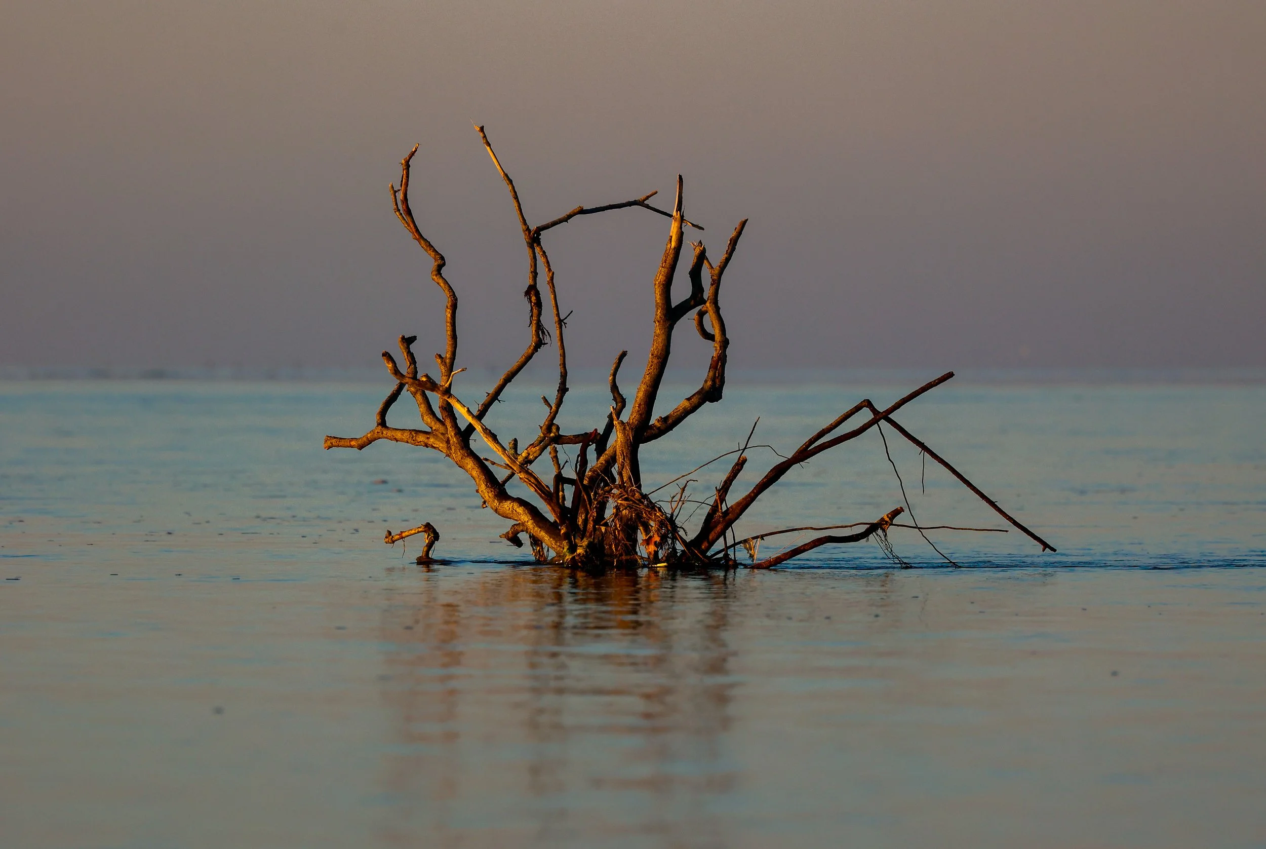 _X9A5770-2.jpg