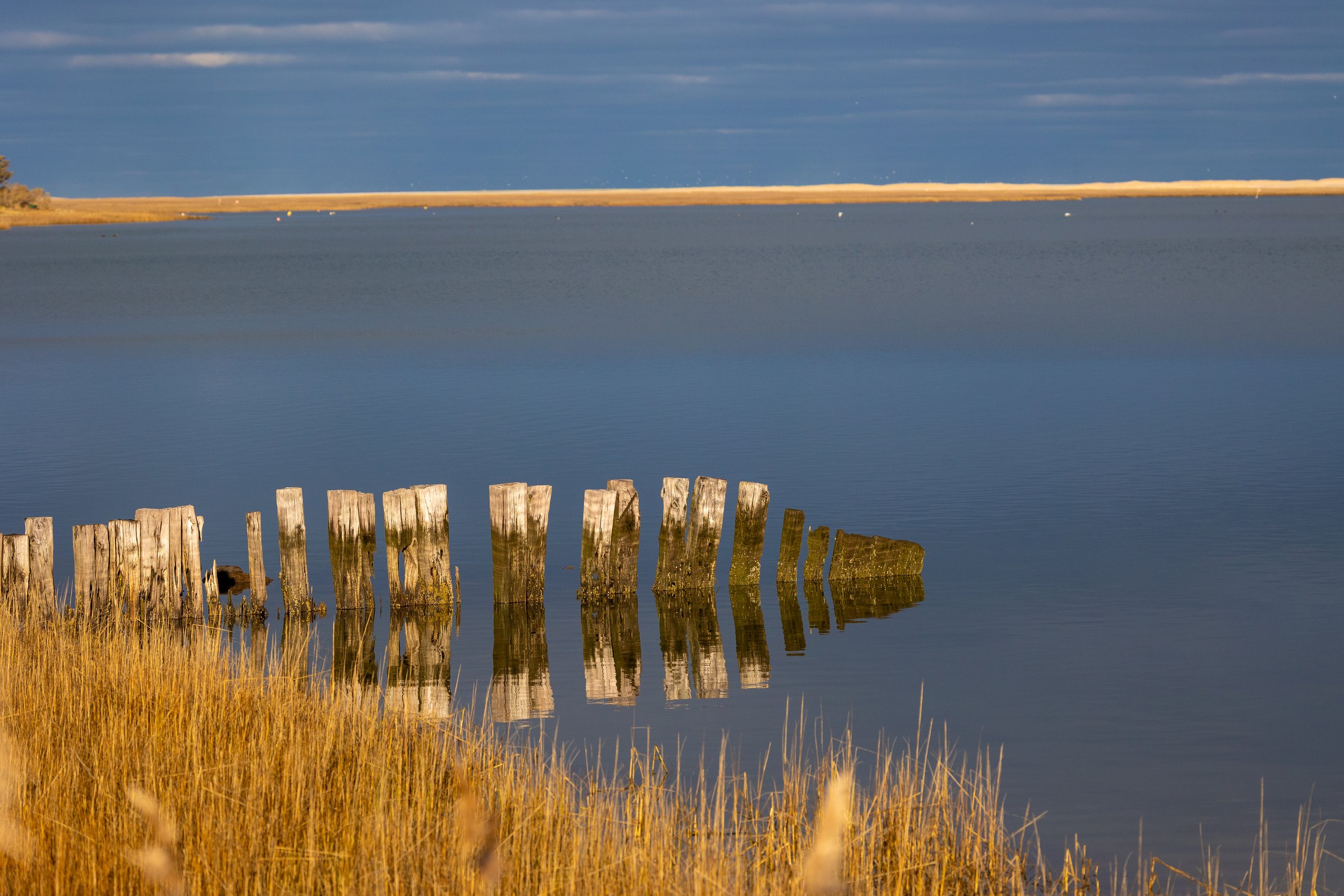 _X9A0710-2.jpg