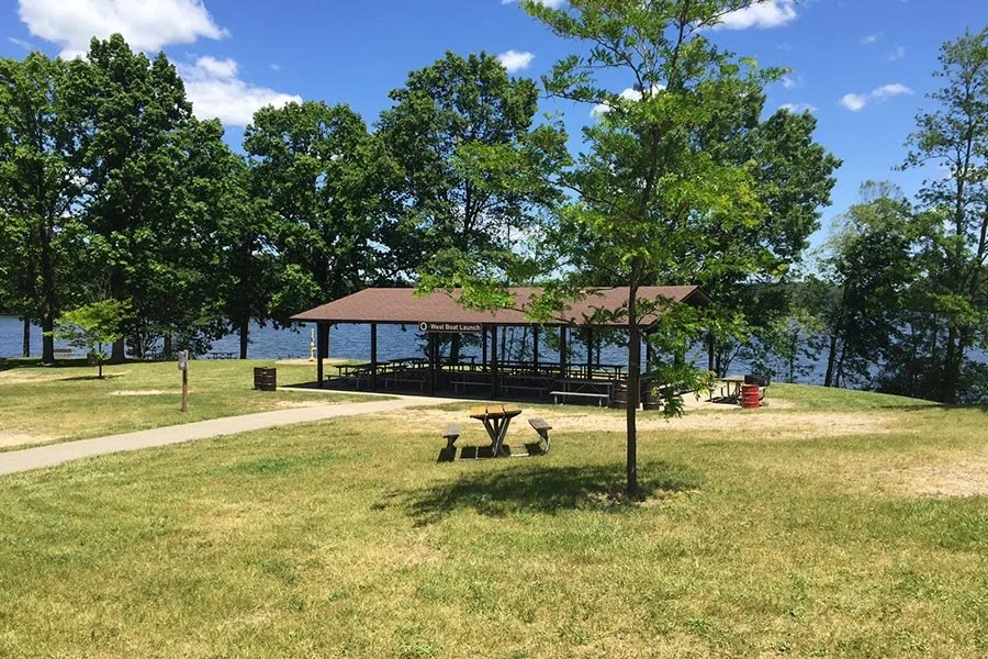 Michigan All-Ivy Summer Picnic