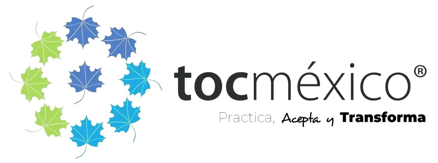 Centro TOC México®