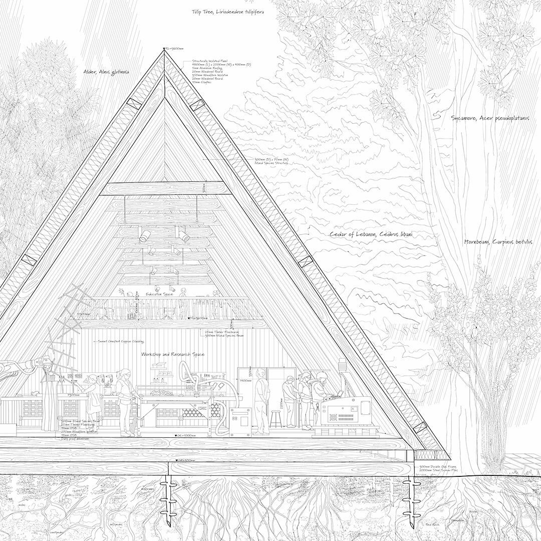 Rooted Landscapes, an Investigation into British Woodlands and productive Economies with an architectural perspective and representation. 

Hand Drawn and Rhino Modelling Software