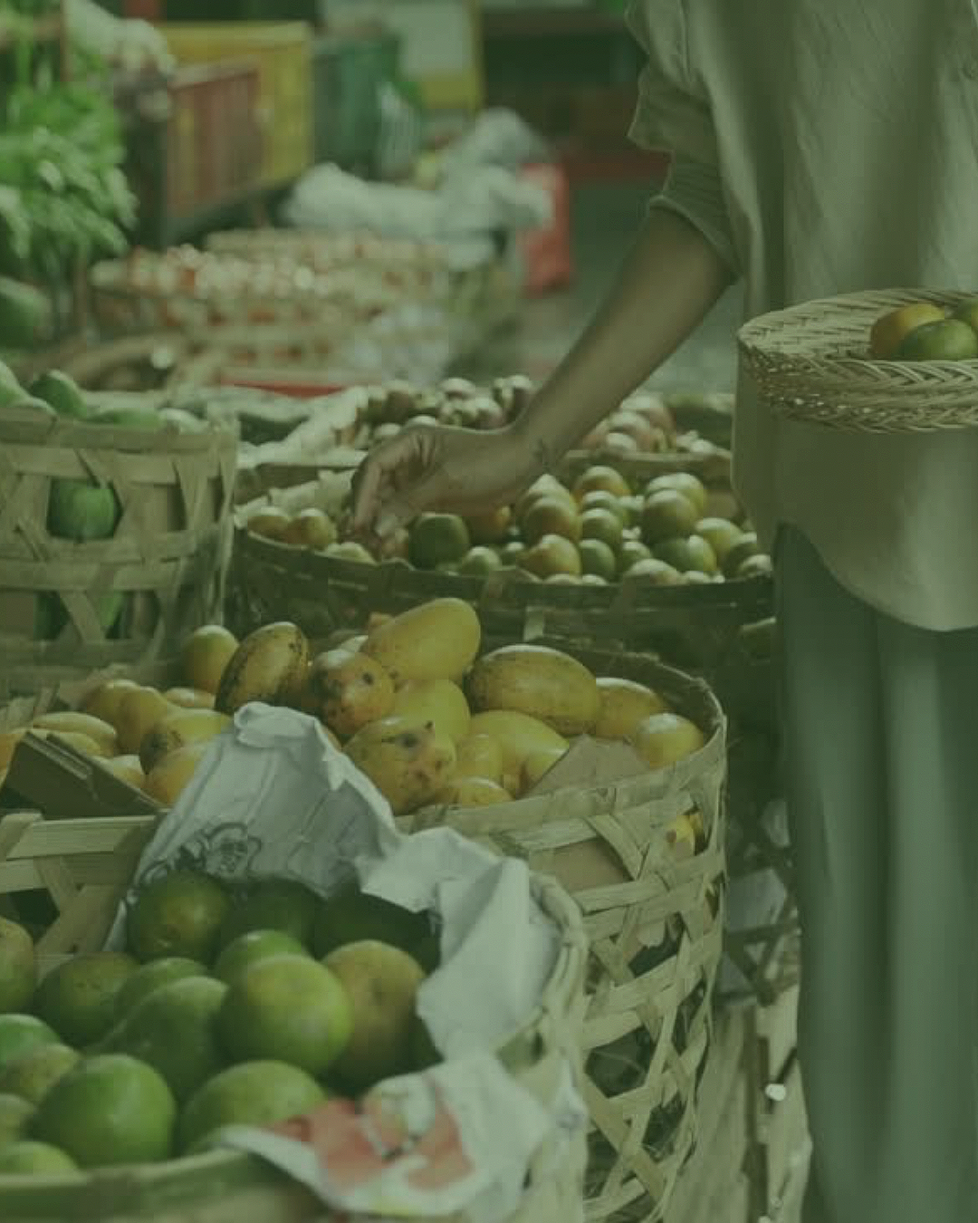 Nutritional Health Program