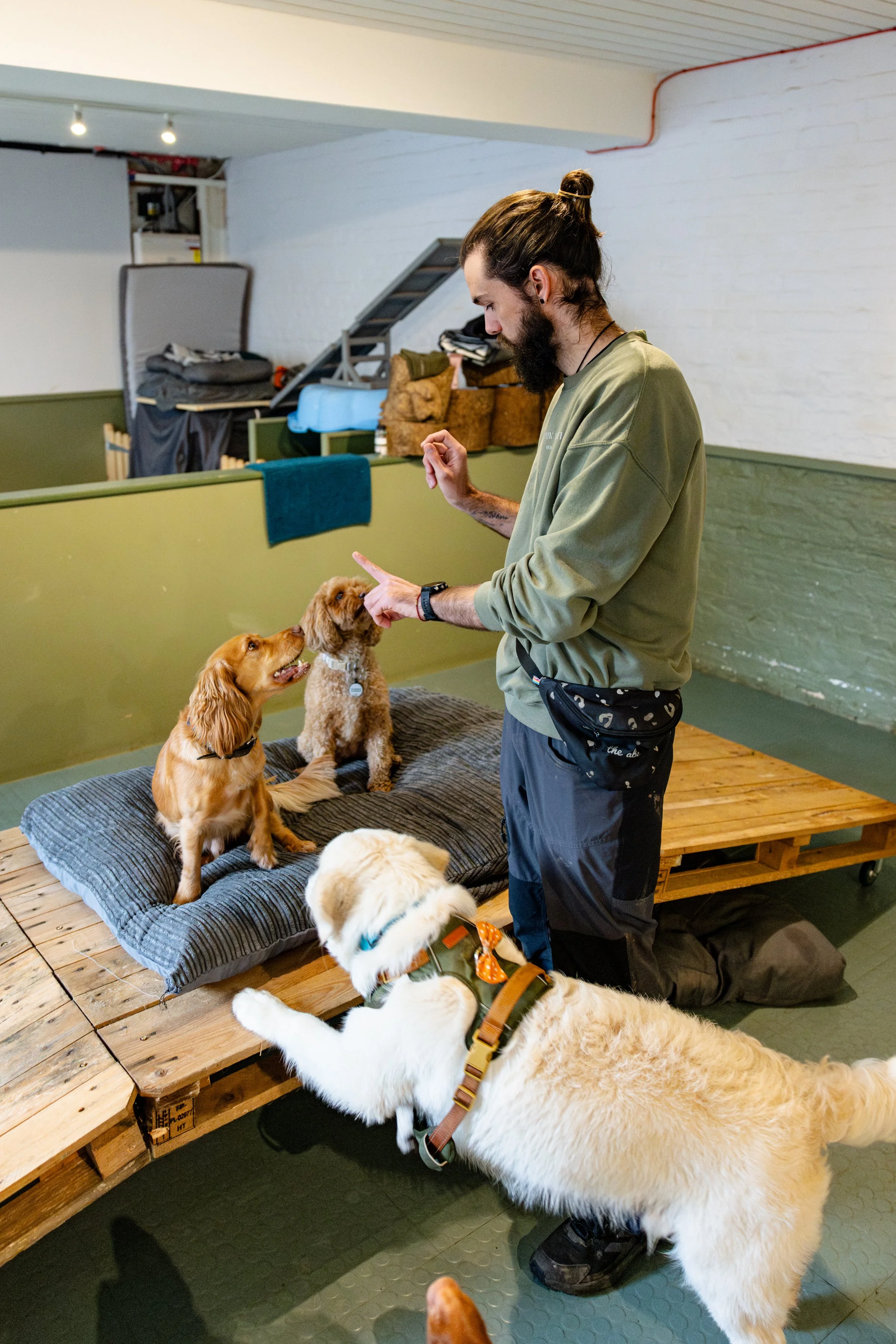 kyle, barry,nutmeg,mollie.jpg