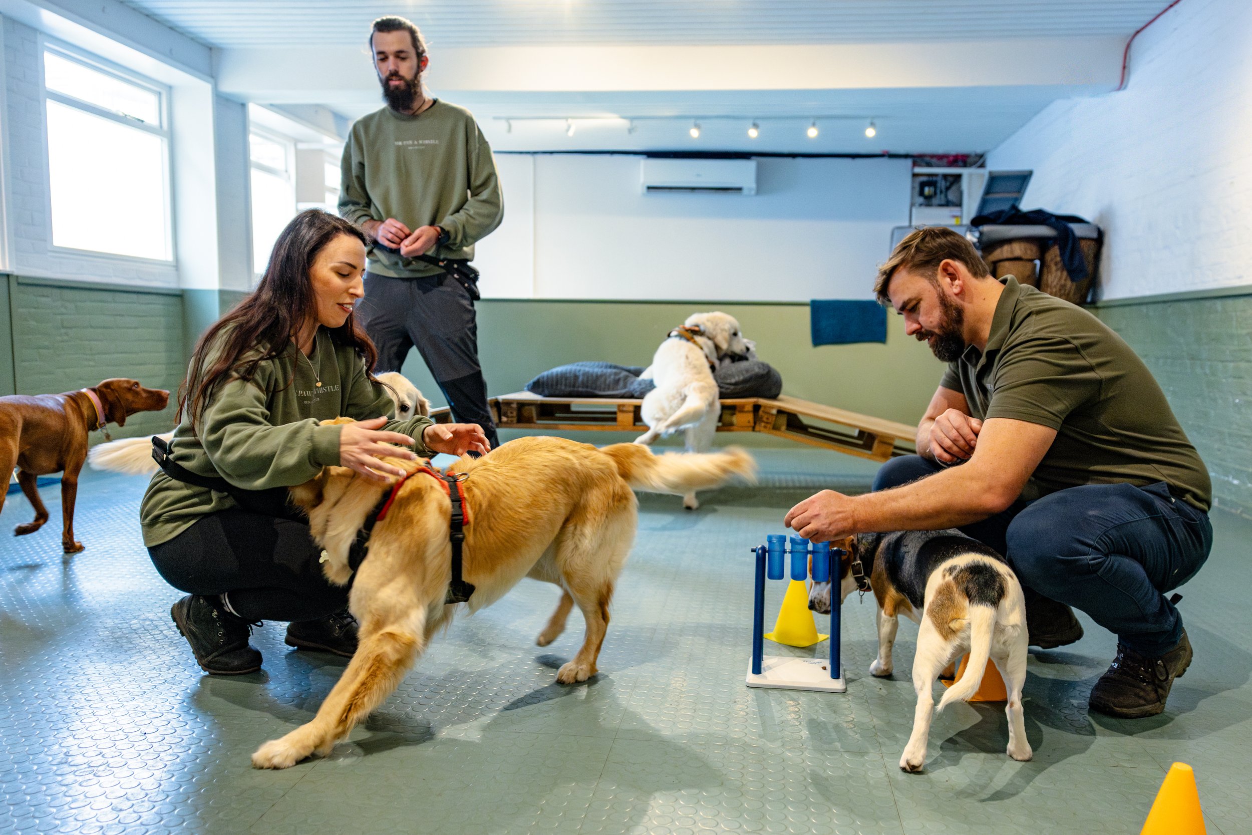 dave,terrae,kyle,rylee, barry willow.jpg