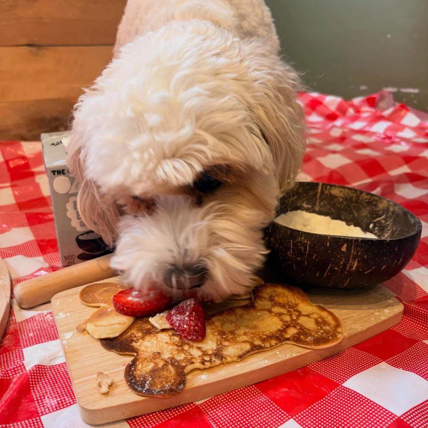 Last week brought us delicious pancakes on pancake day, super cute photo shoots &amp; some amazing zoomies! Absolutely love seeing these smiling faces every week 🥰🥞💚