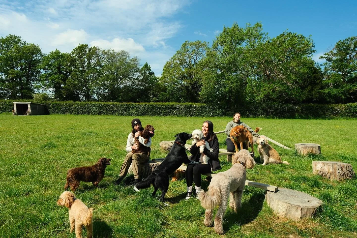 Part 1 - We were lucky to get some beautiful professional photos taken by our very own Kyle 📸🐾

These pups were busy having the BEST day &mdash; full of playtime, cuddles, zoomies, and smiles all around! 🐶💚 We hope you love these moments as much 