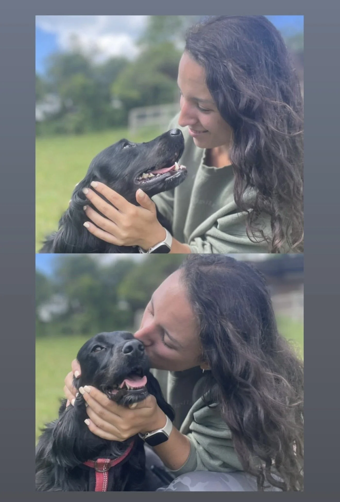 terrae ibn field x2 .jpg