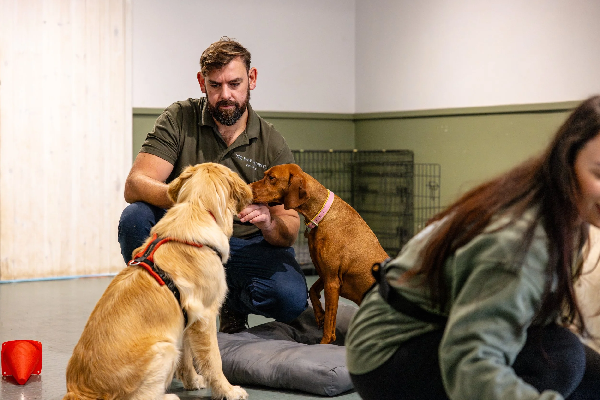 dave neary&rylee.jpg