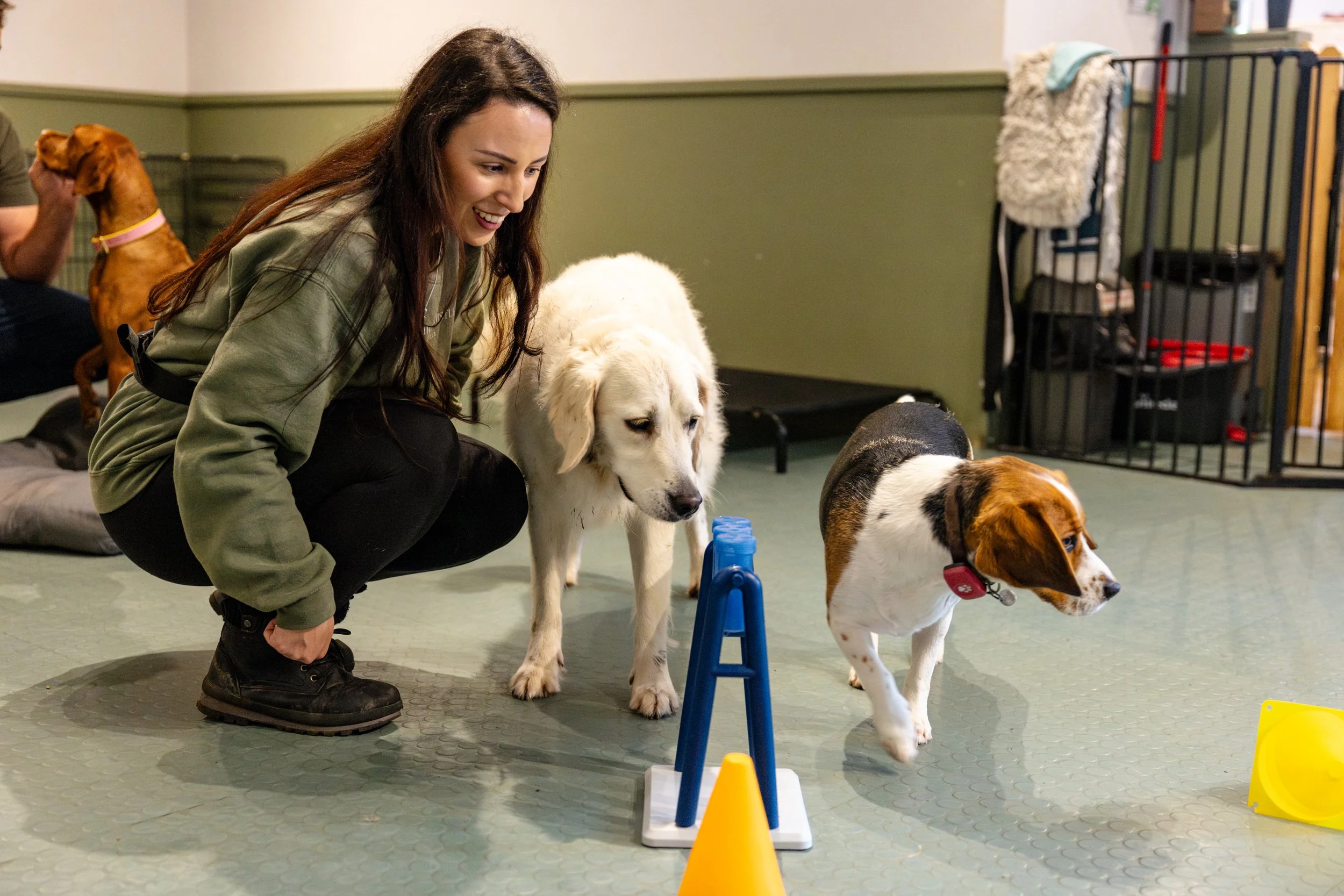 terrae barrry  willlow.jpg