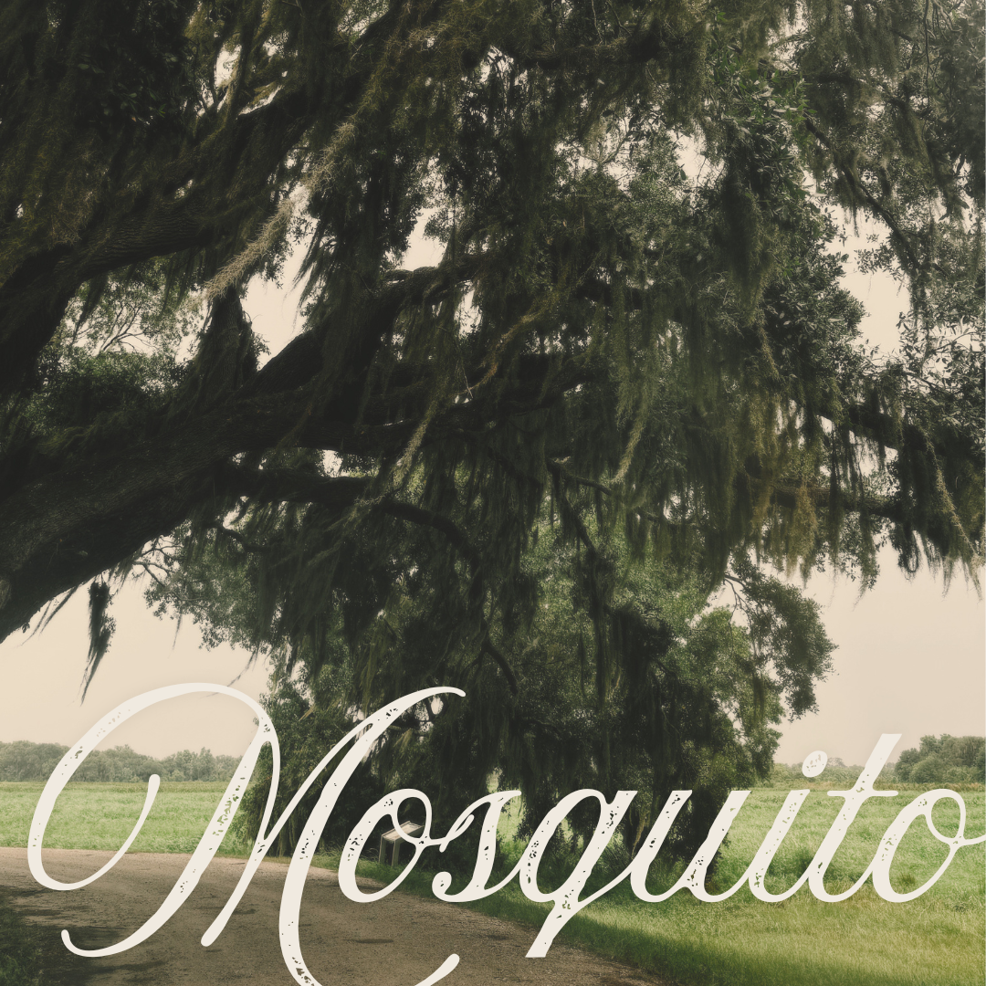 Mosquito