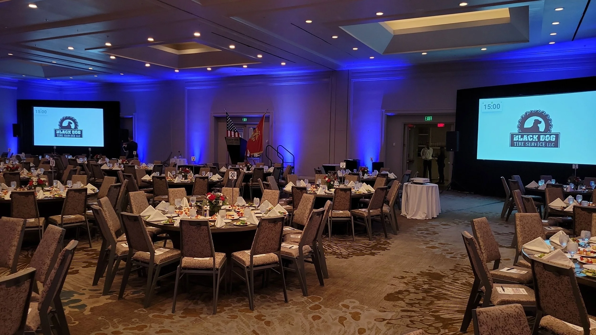 Large Projection Screens