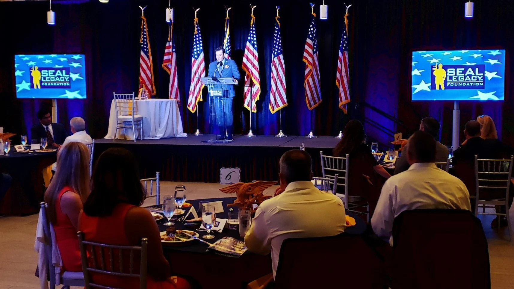 Large Projection Screens