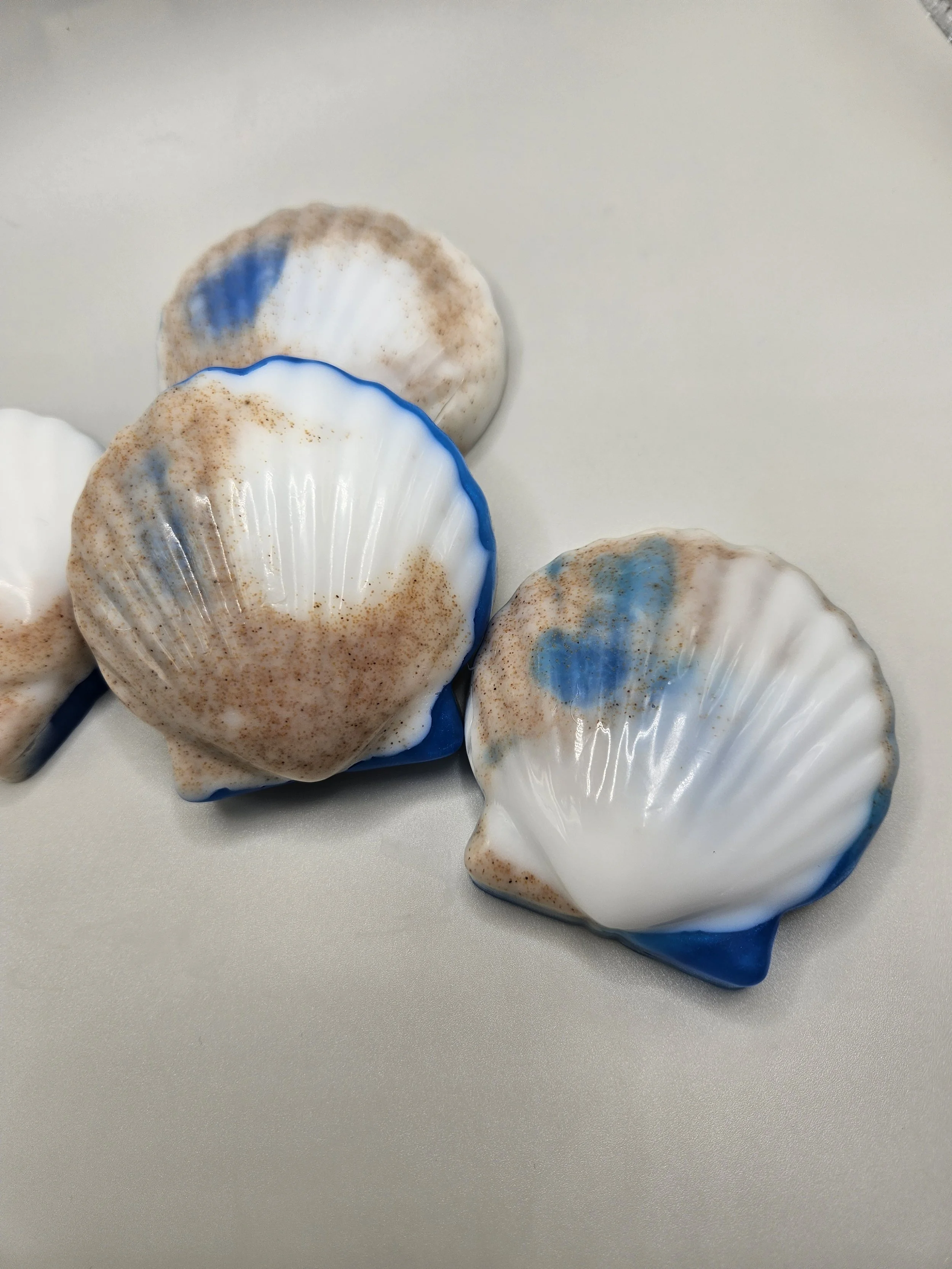 Sea Shells