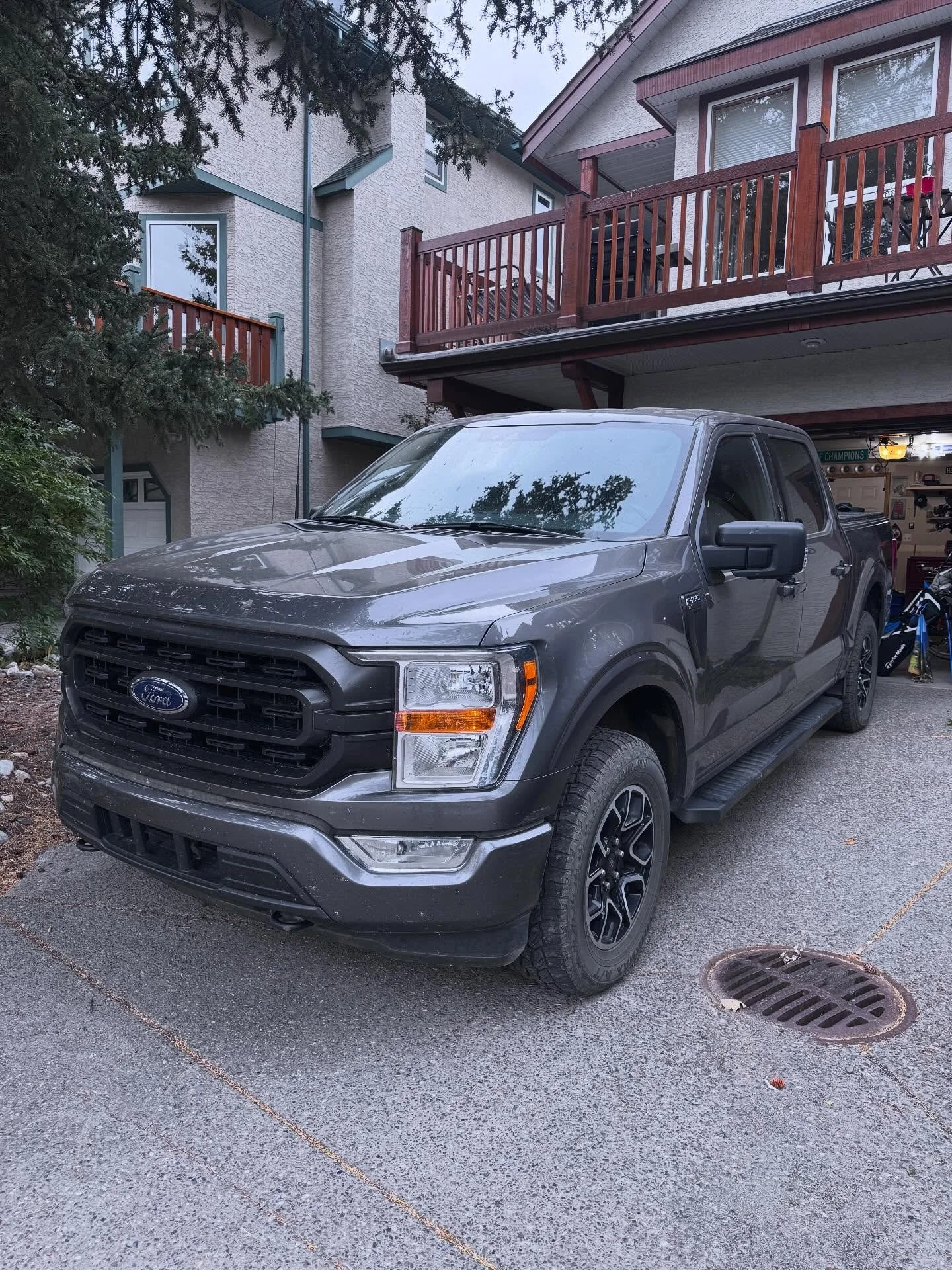 F-150 - Black Diamond package with some stain removal! #canmore #banff #autodetailing #mobiledetailing