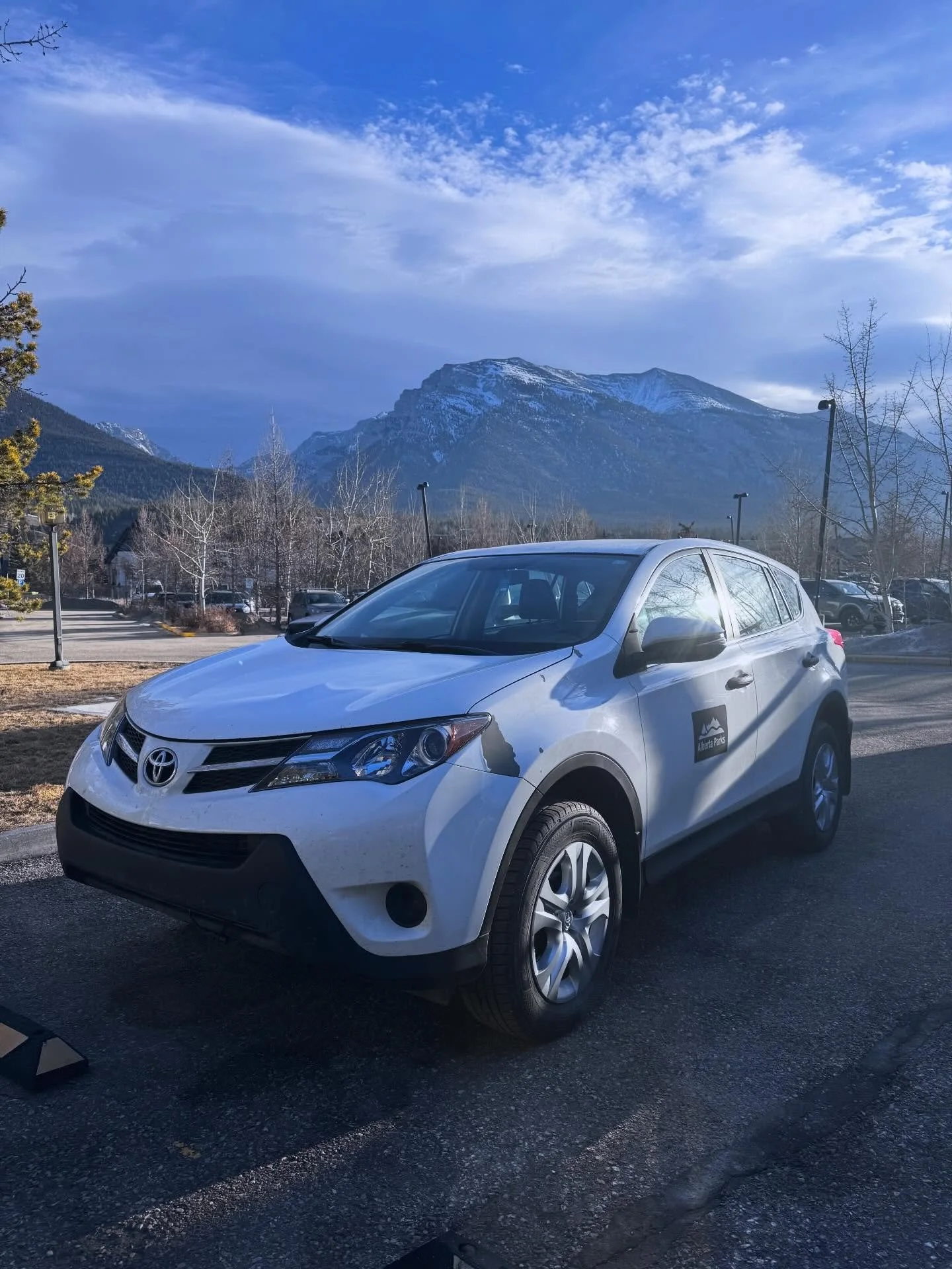 RAV4 - Maintenance day for Alberta Parks with two chip repairs. #alberta #banff #mobiledetailing #canmore