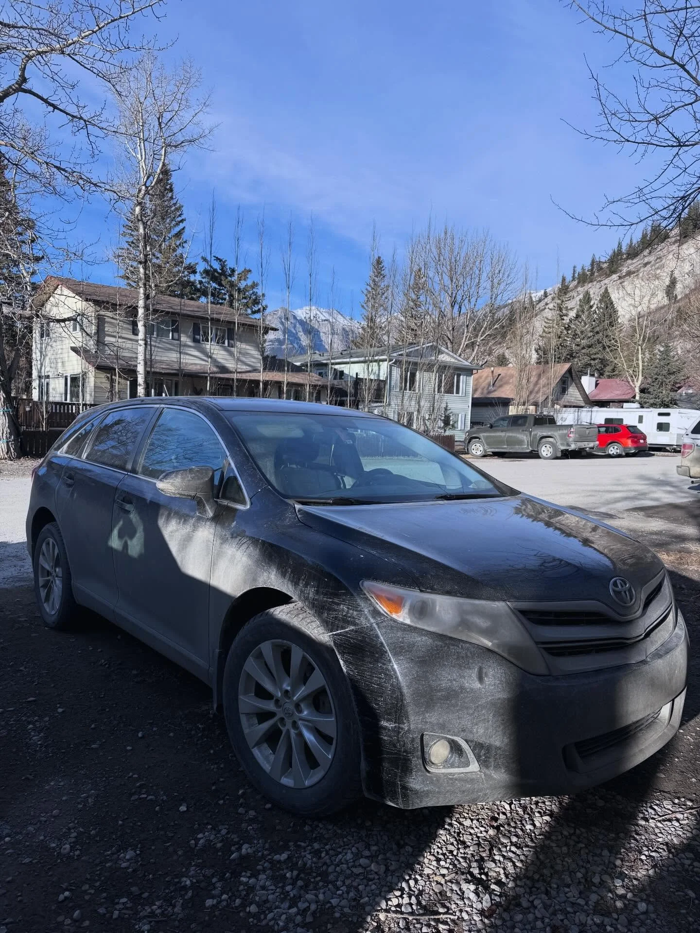 Venza - Dog hair final boss #mobiledetailing #doghairremoval