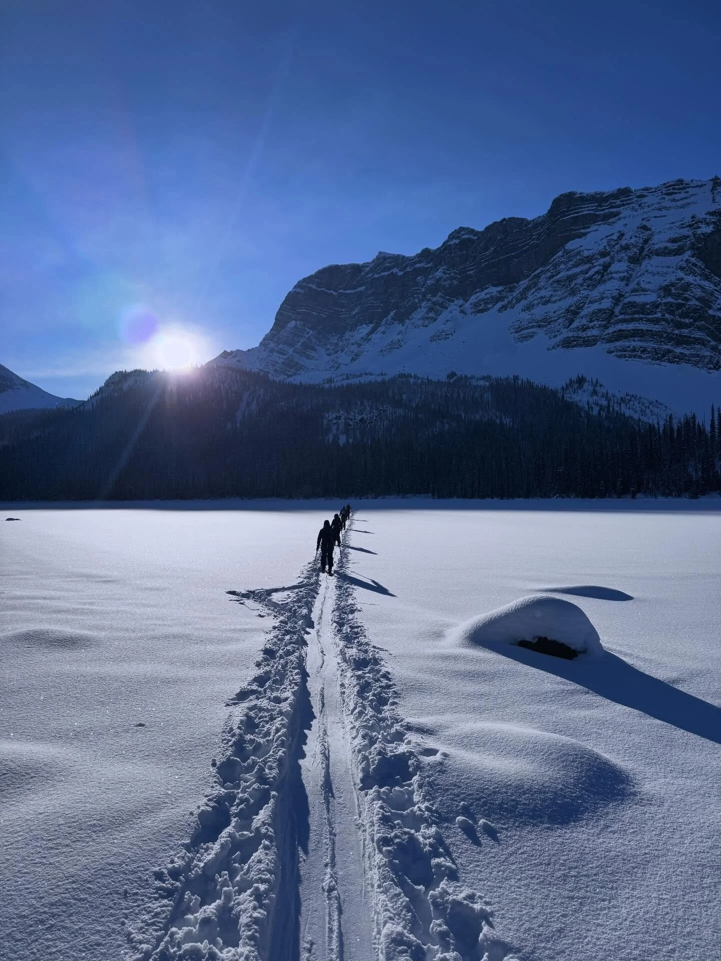 Enjoy the mountains &mdash; not a cracked windshield.
Rock chips happen fast out here.
We fix them before they spread.
Windshield Protection Plans &mdash; $40/ month
Mobile. Simple. Built for mountain driving.
👉 doubleblackdetailing.com