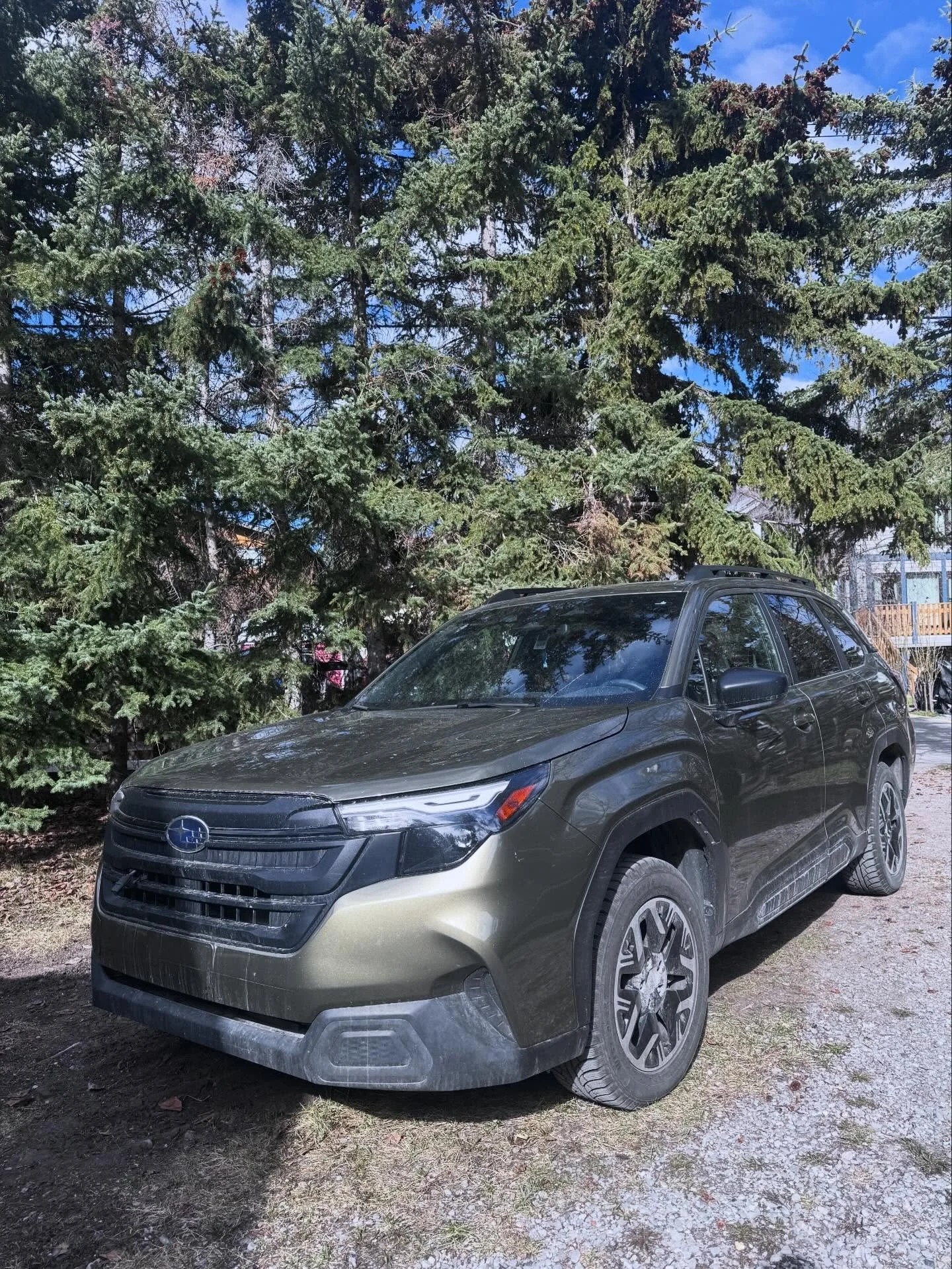 Forester - In for a full restore! #banffdetailing