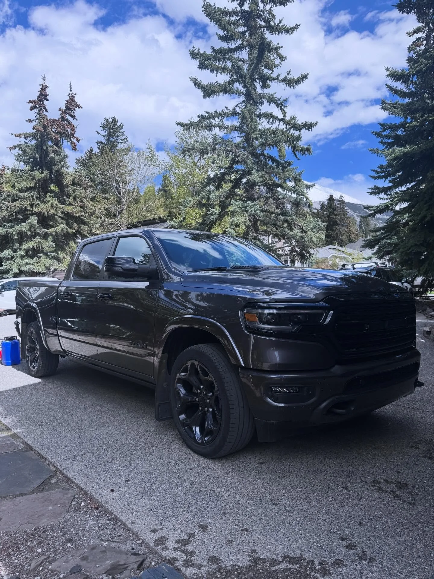 Ram Limited - Double Black package .. dog hair, slobber and dirt. Fun one.