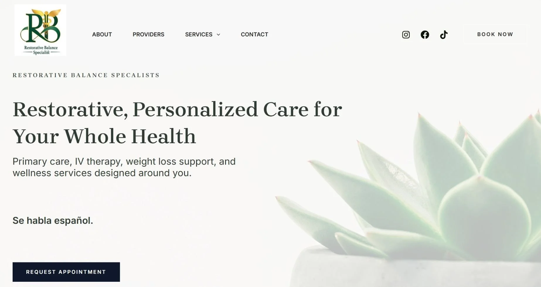 A screenshot of the restorative balance specialists website