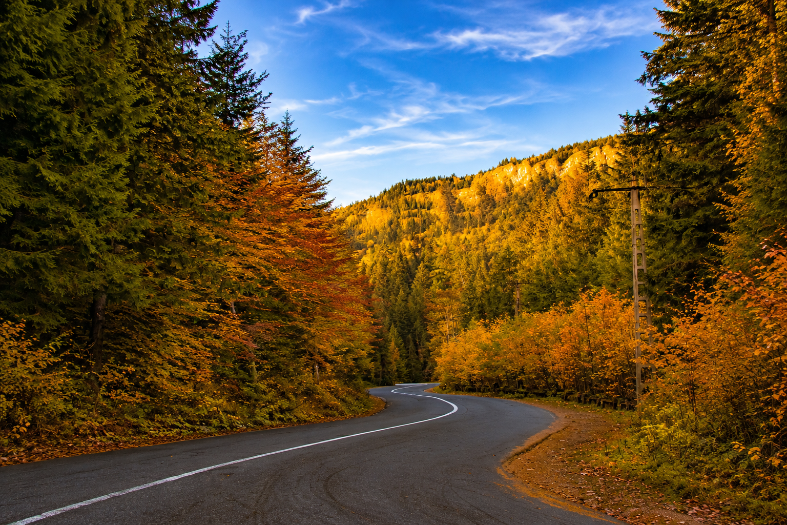 Winding Autumn Mountain Road