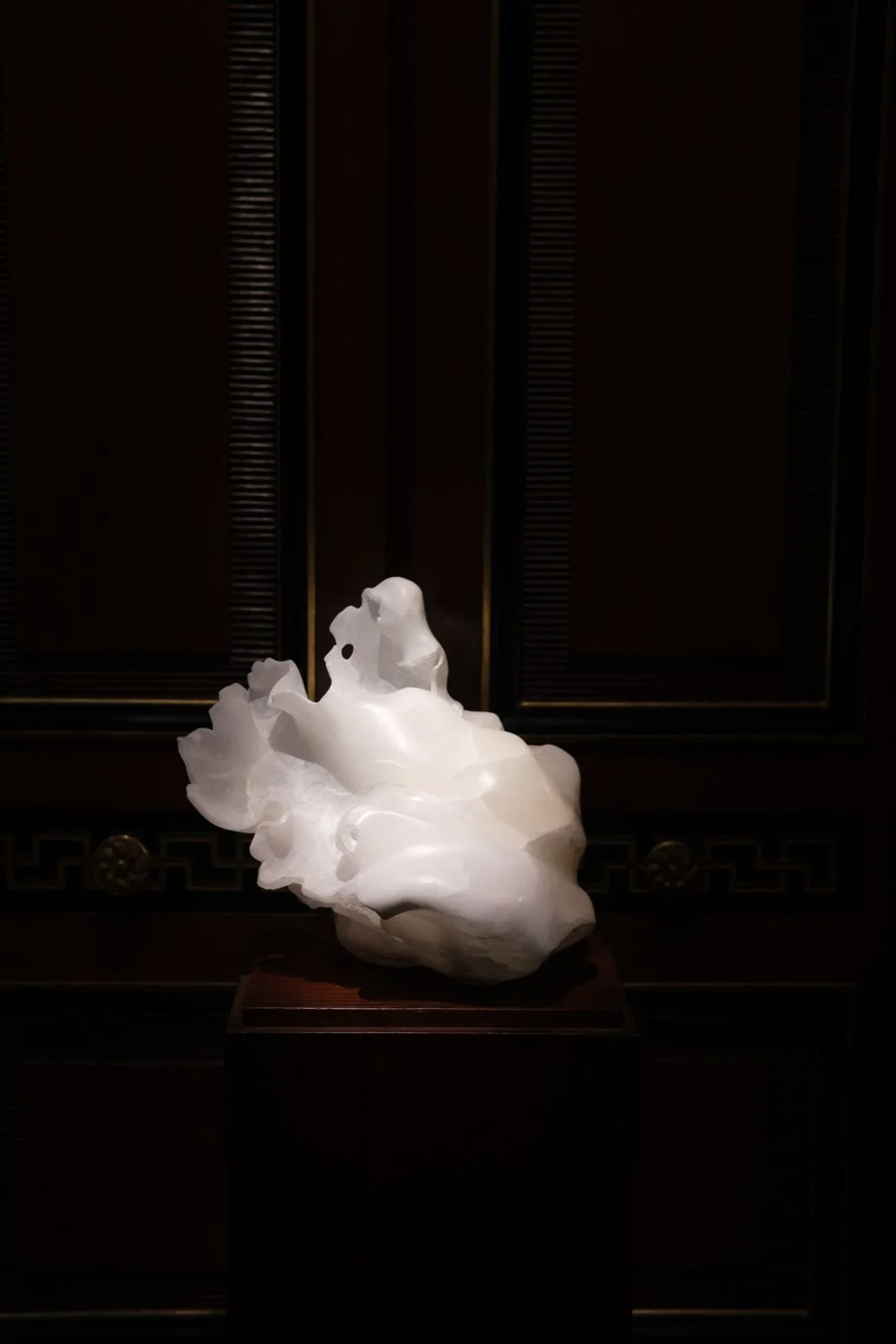 WhatsApp Image 2026-03-19 at 16.23.58.jpeg